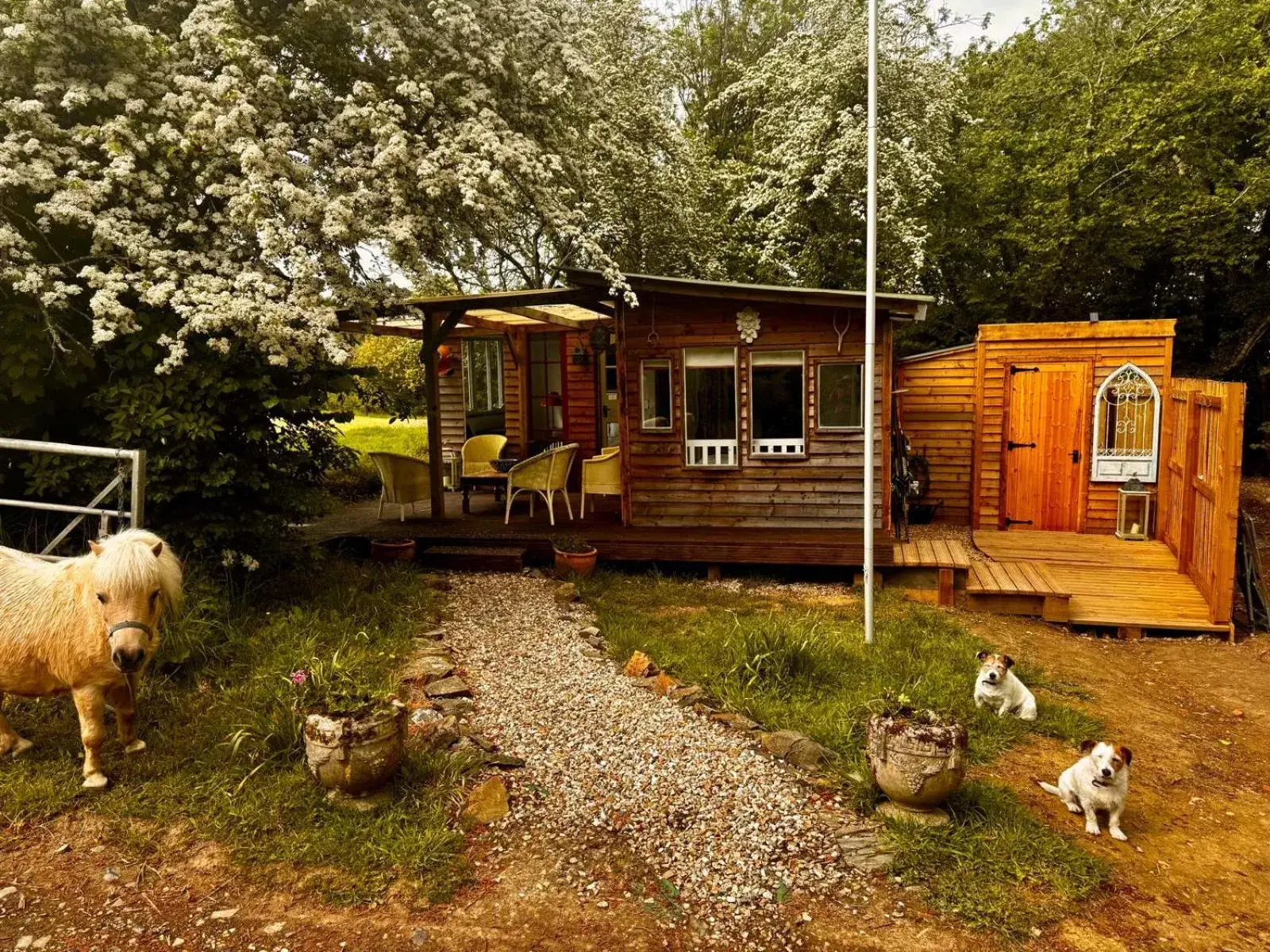 One-Bedroom Chalet in Hollamoor Farm One-Bedroom Chalet in Hollamoor Farm