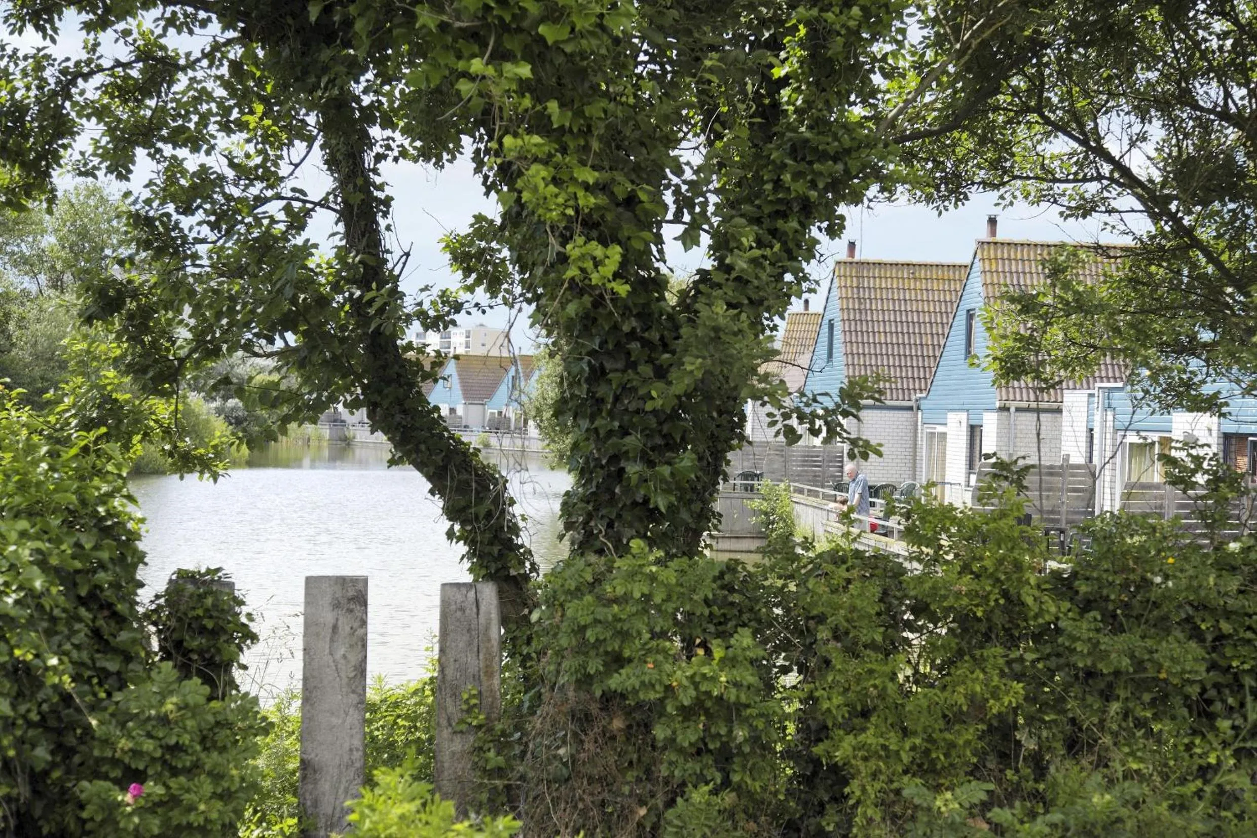 View (from property/room) in Center Parcs Zandvoort beach