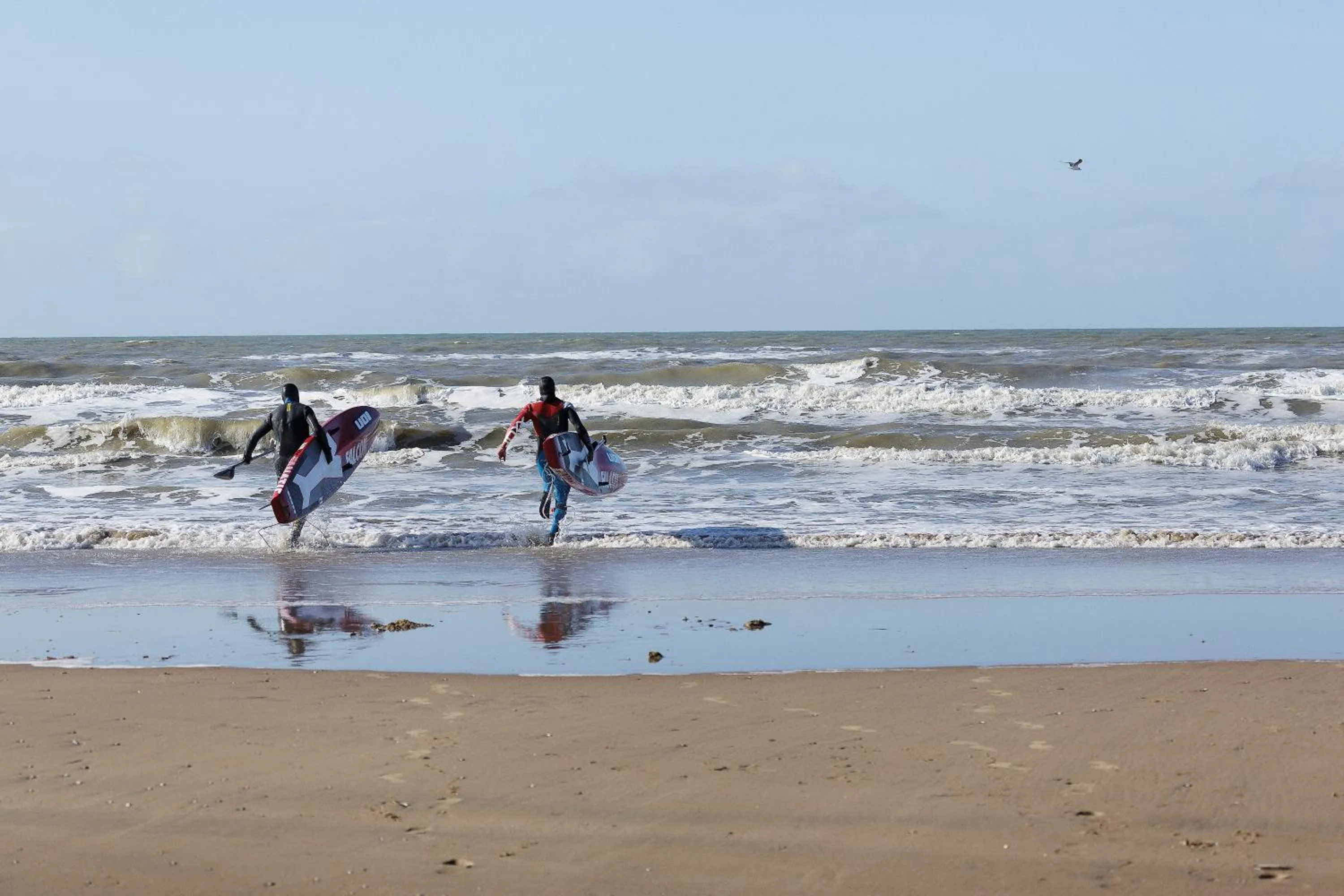 Beach in Center Parcs Zandvoort beach