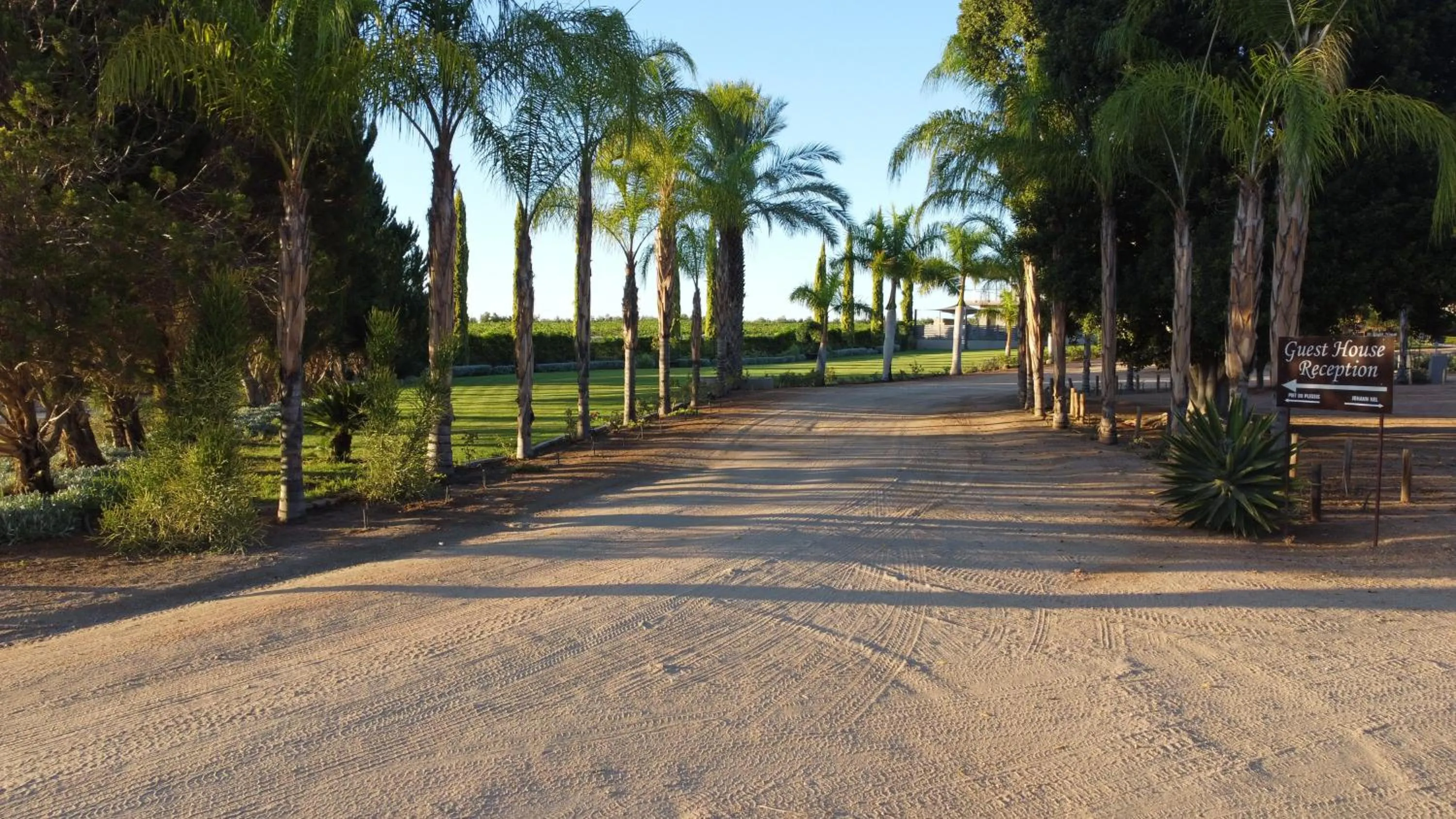 Garden in The Falls Guest House