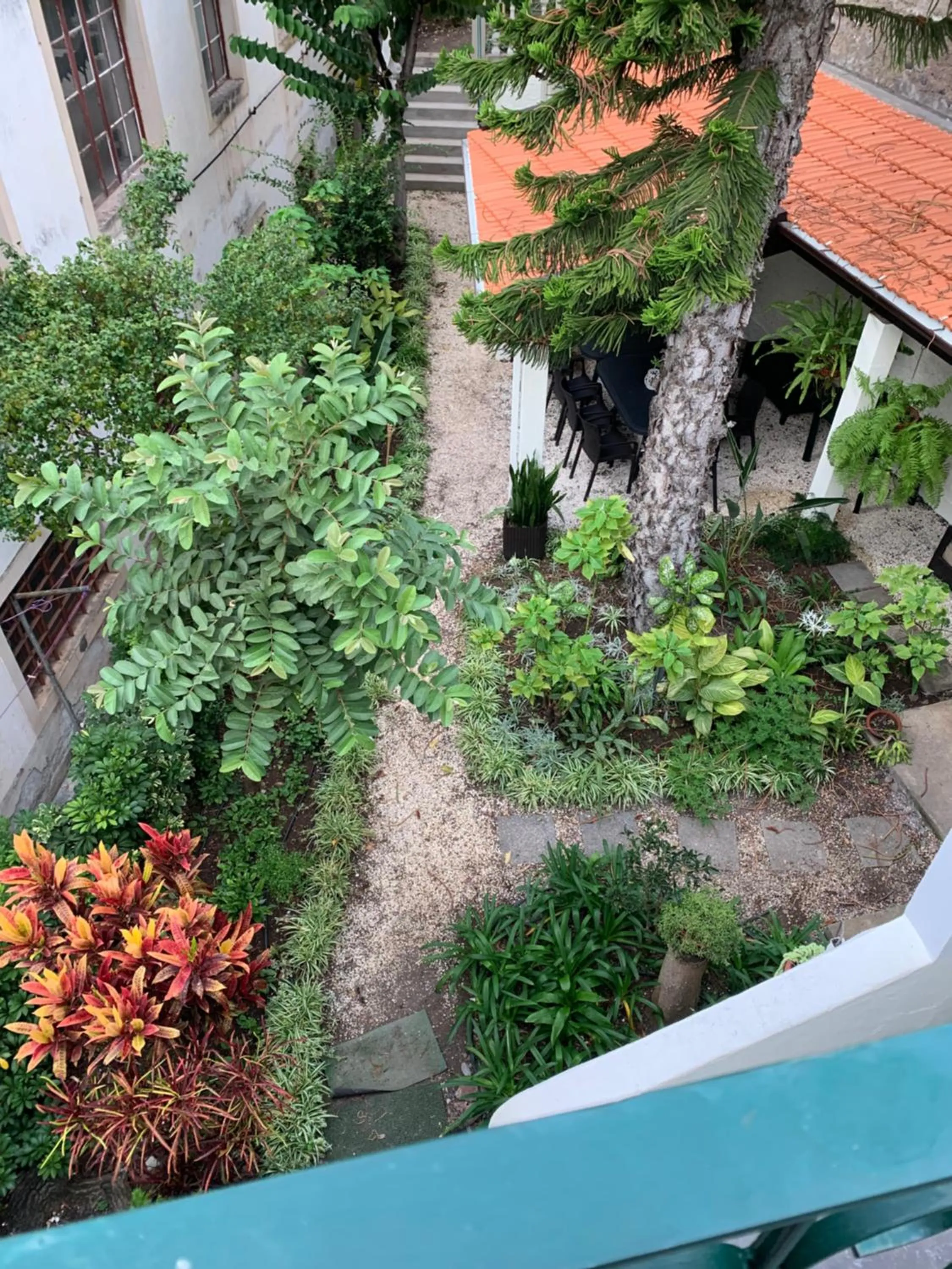 Garden view in Vitorina Corte Guesthouse