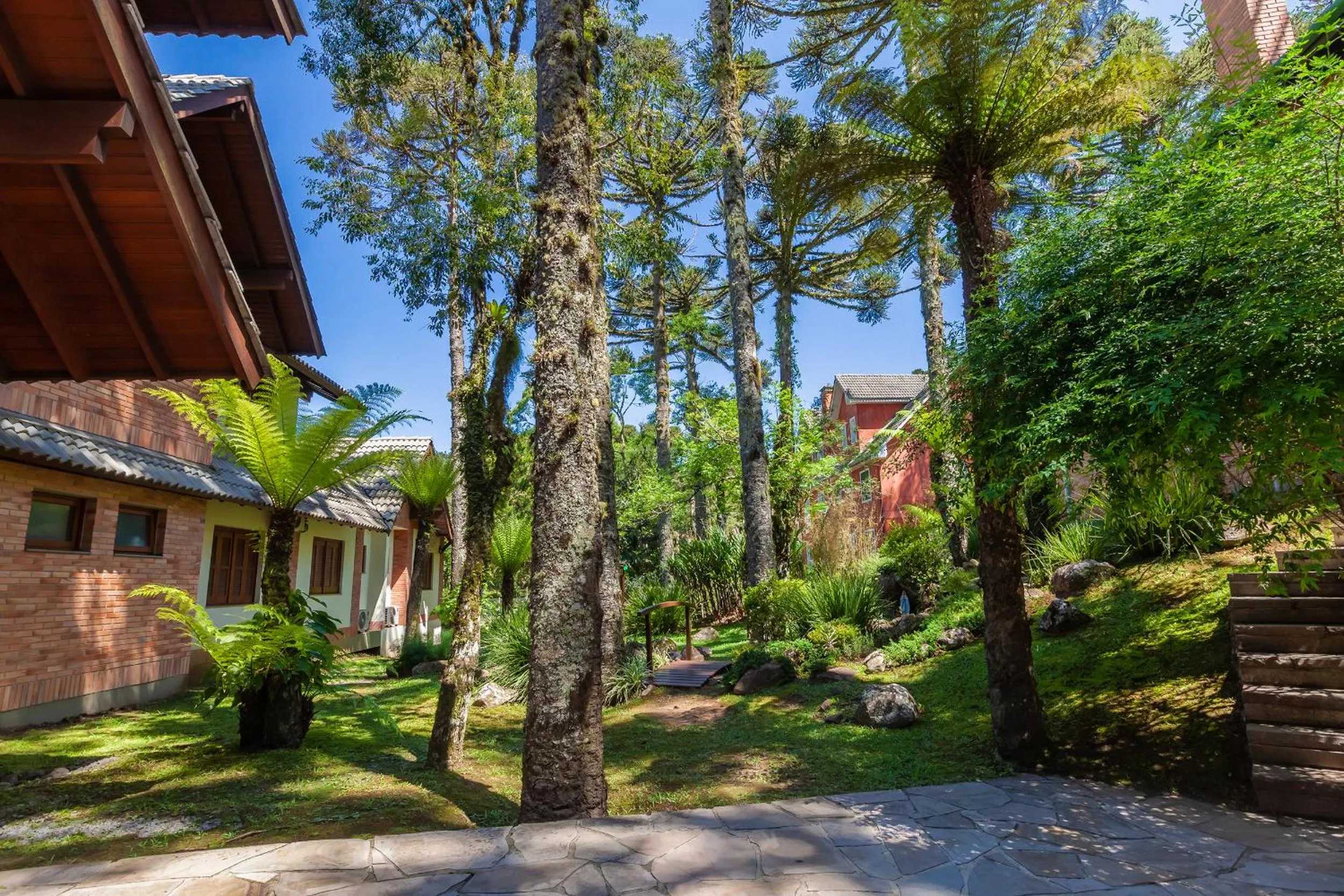 Natural landscape in Tri Hotel Lago Gramado