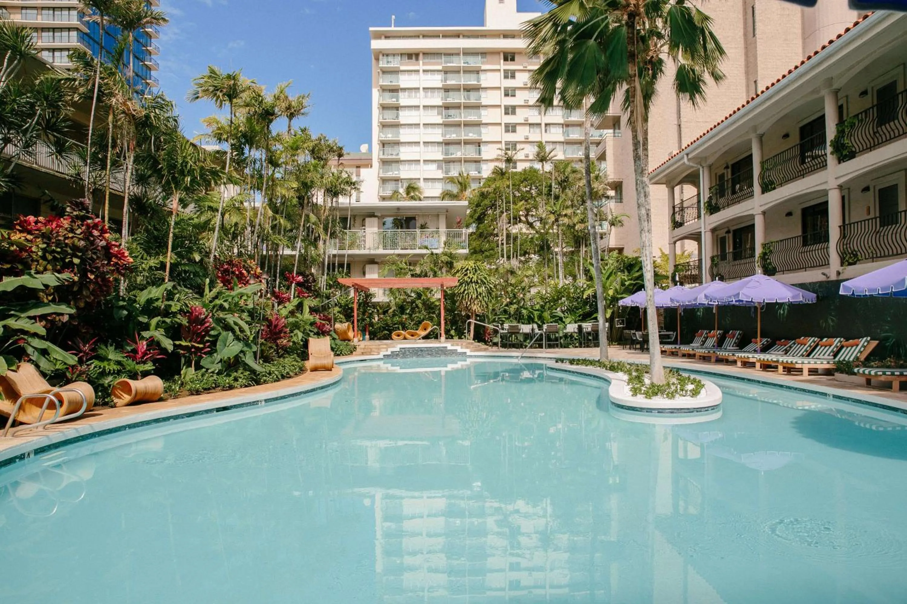 Pool view in Wayfinder Waikiki - Voted Top 10 Best Hotels in Hawaii!