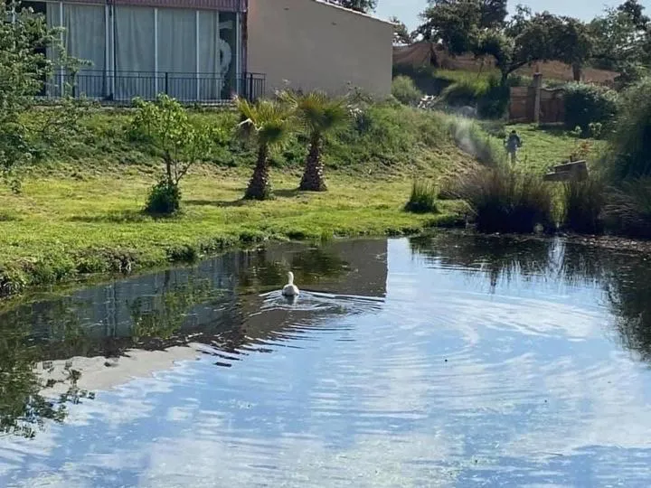 complejo rural el prado