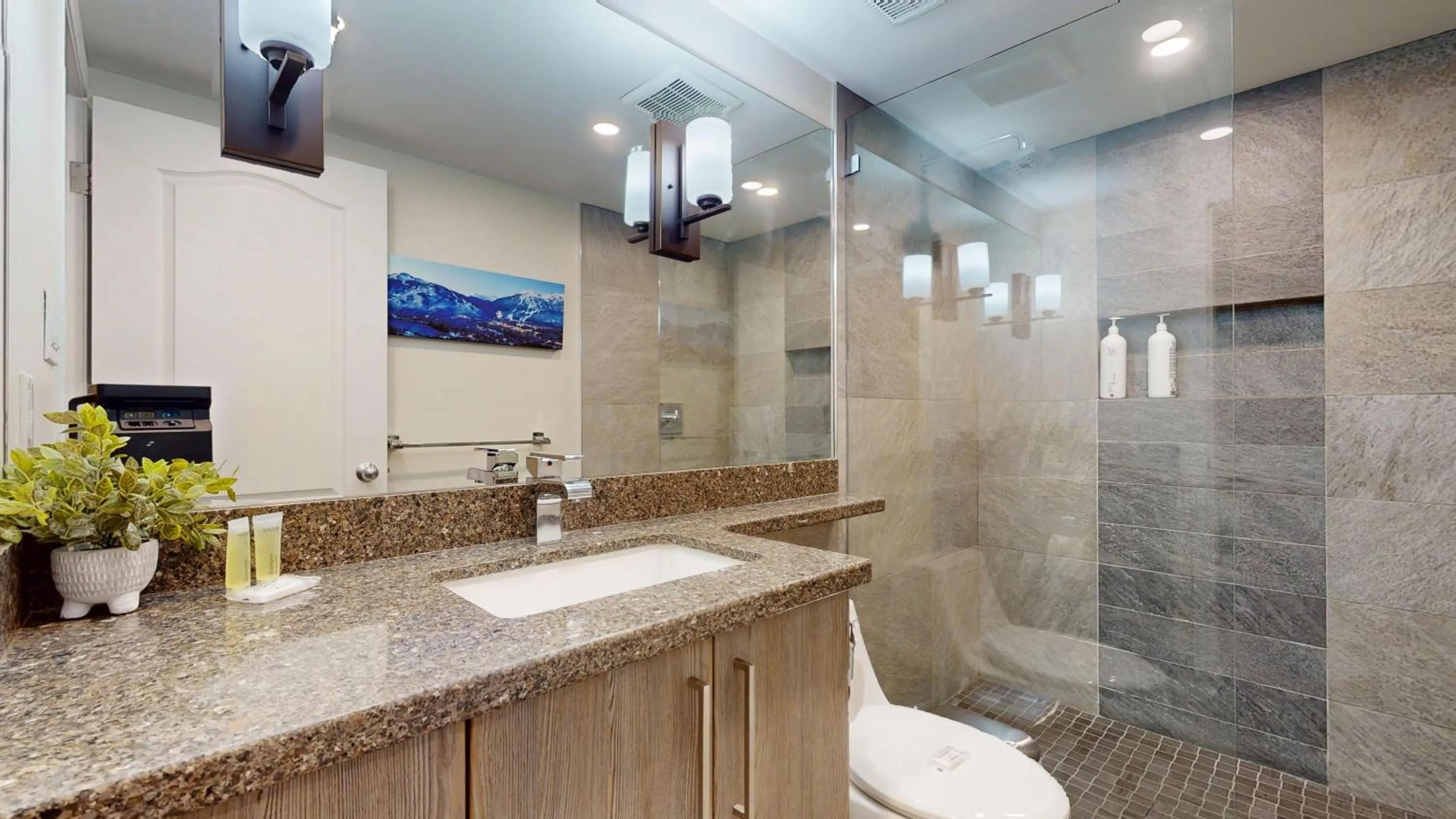 Whistler Blackcomb Vacation Rentals - Village North