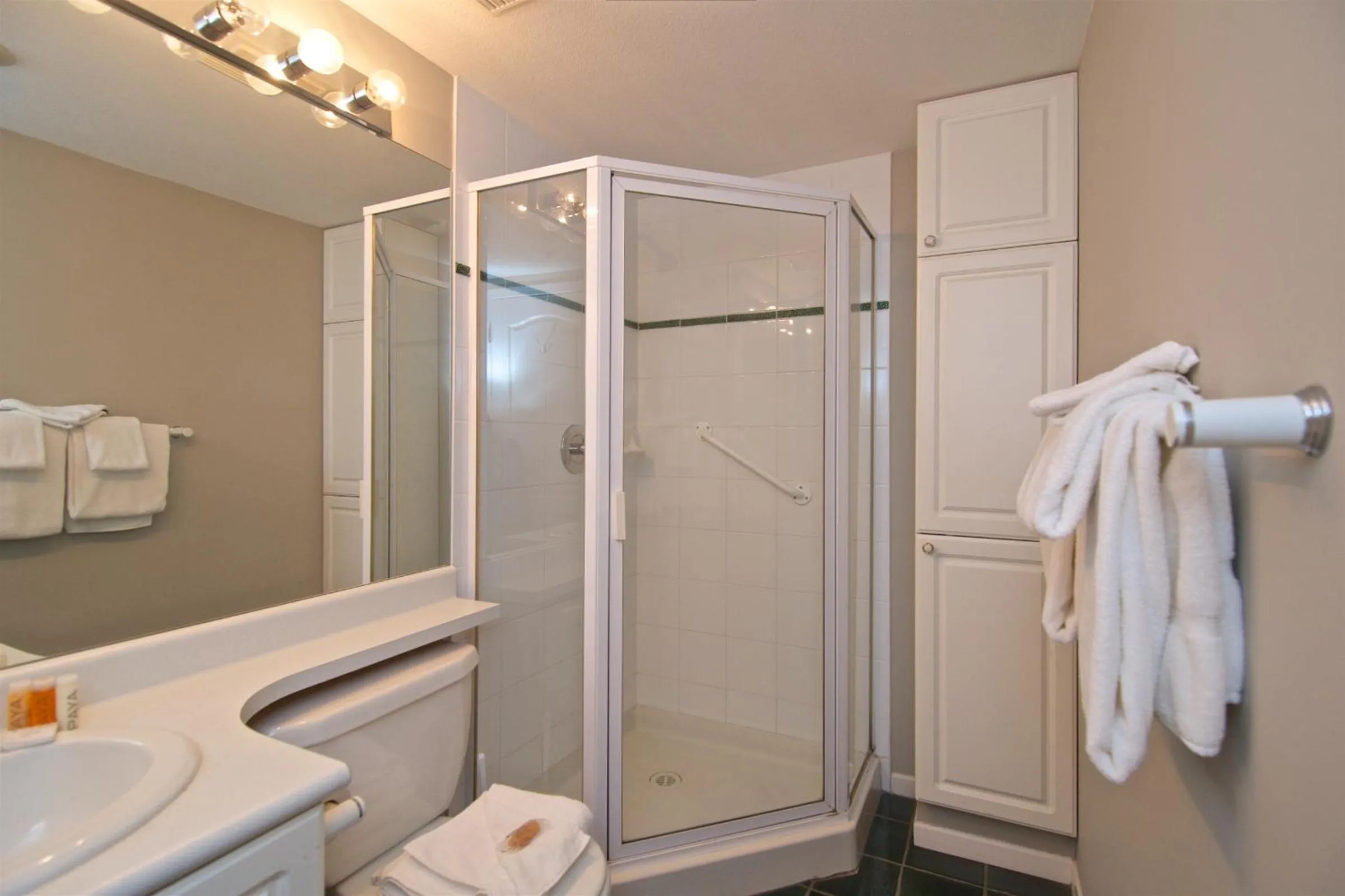 Bathroom in Whistler Blackcomb Vacation Rentals - Village North