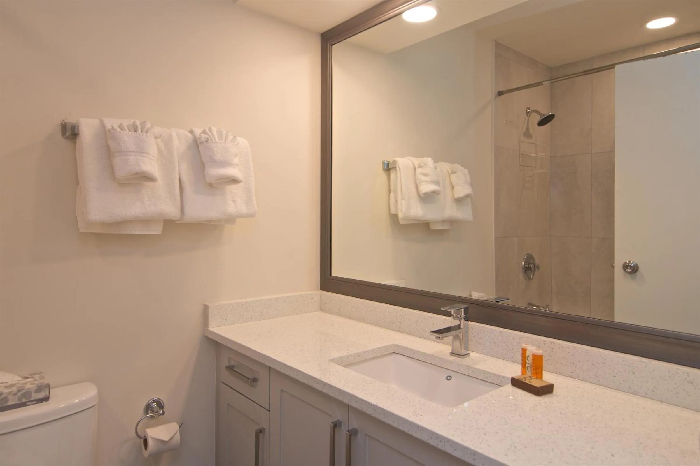 Bathroom in Whistler Blackcomb Vacation Rentals - Village North