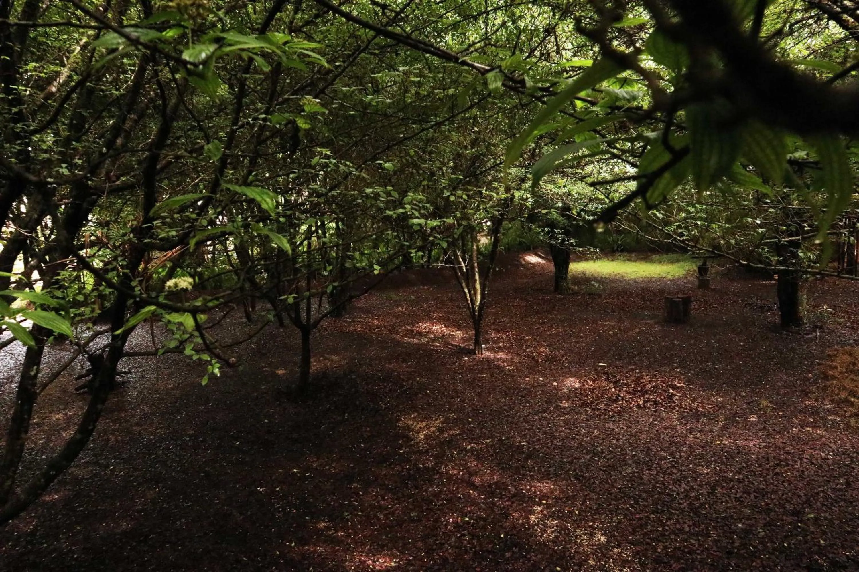 Hotel Bosques del Sol Suites