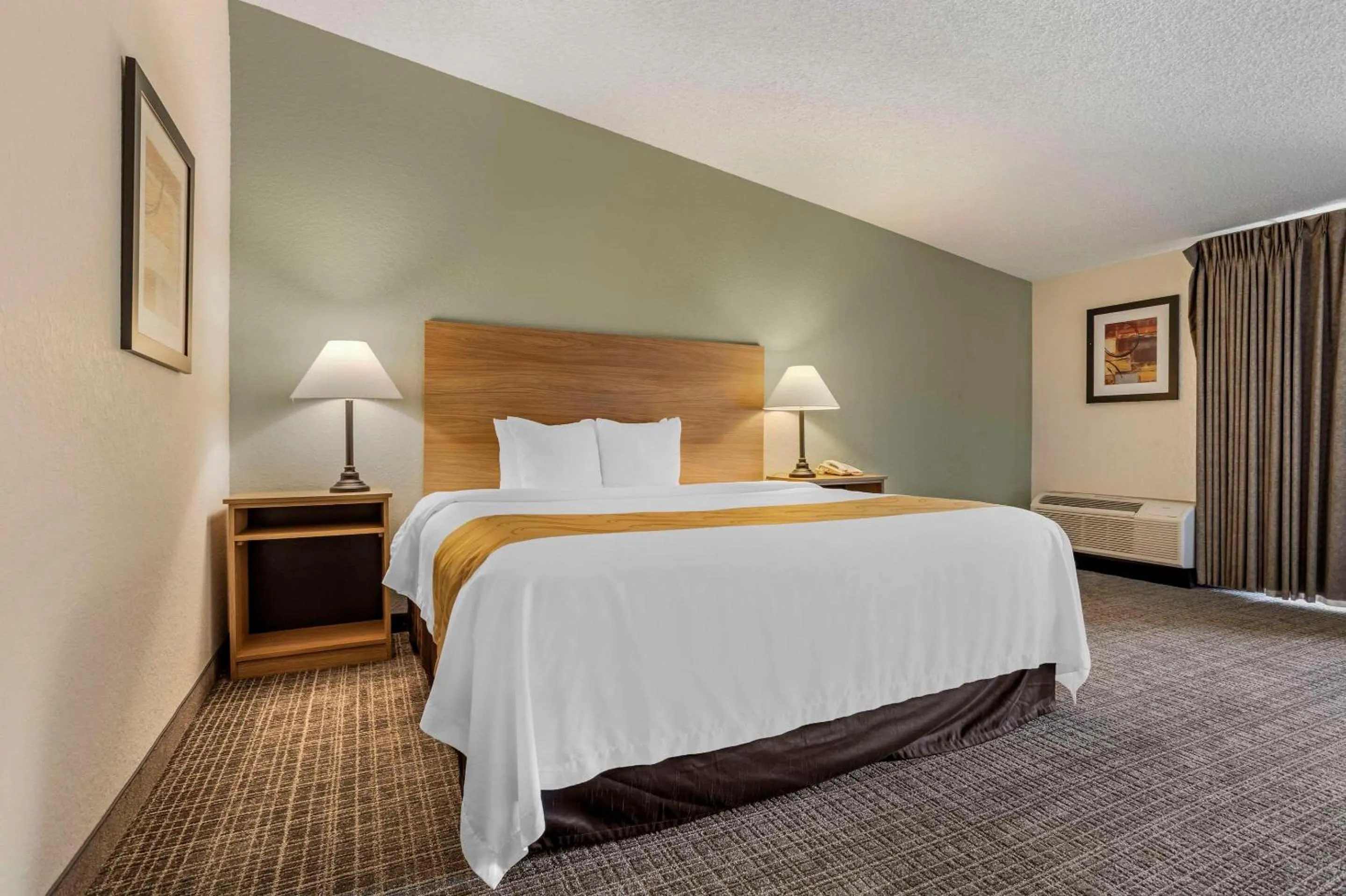 Bedroom, Bed in Quality Inn & Suites NRG Park - Medical Center