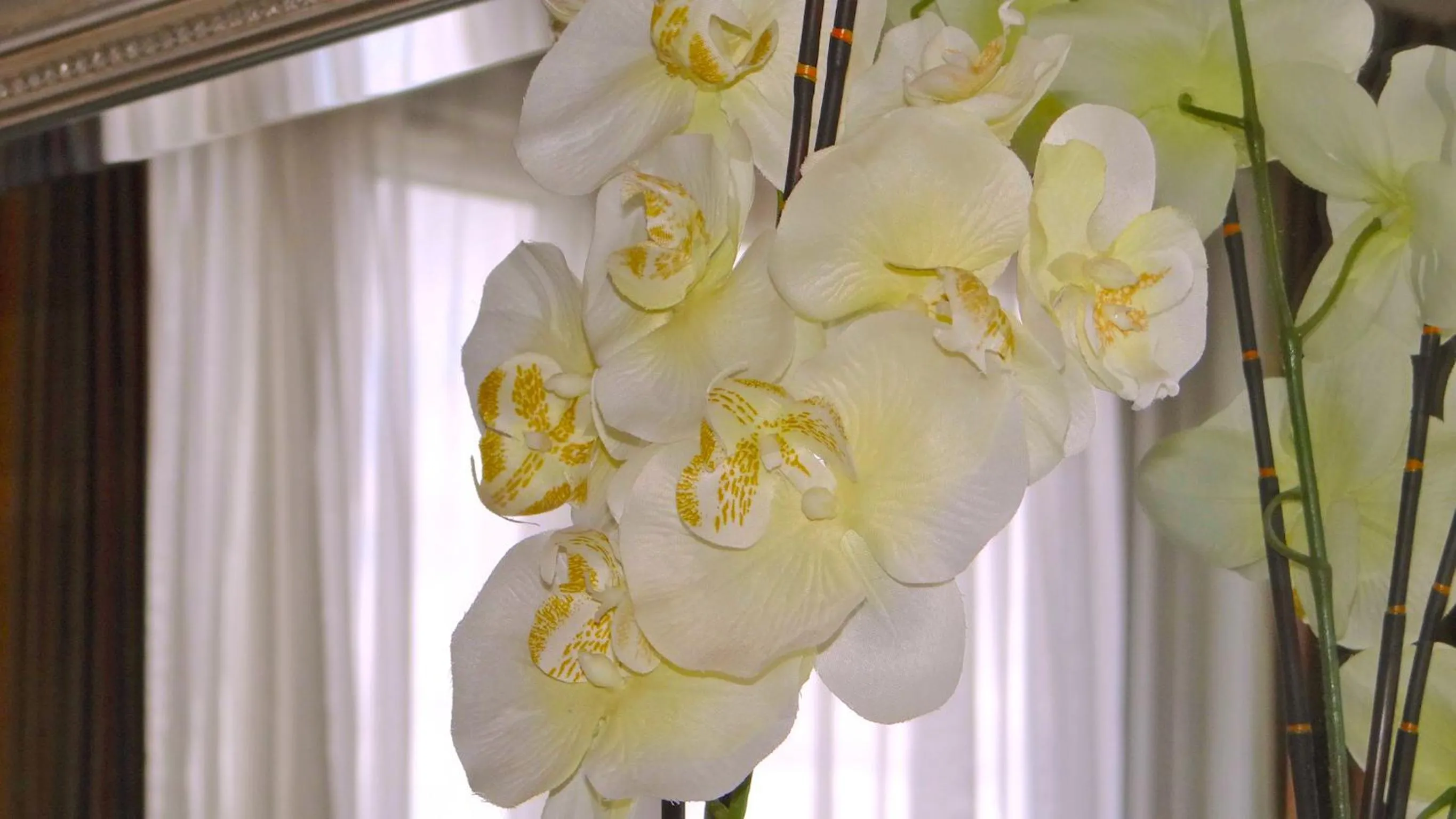 Other in Jessamine House Hotel