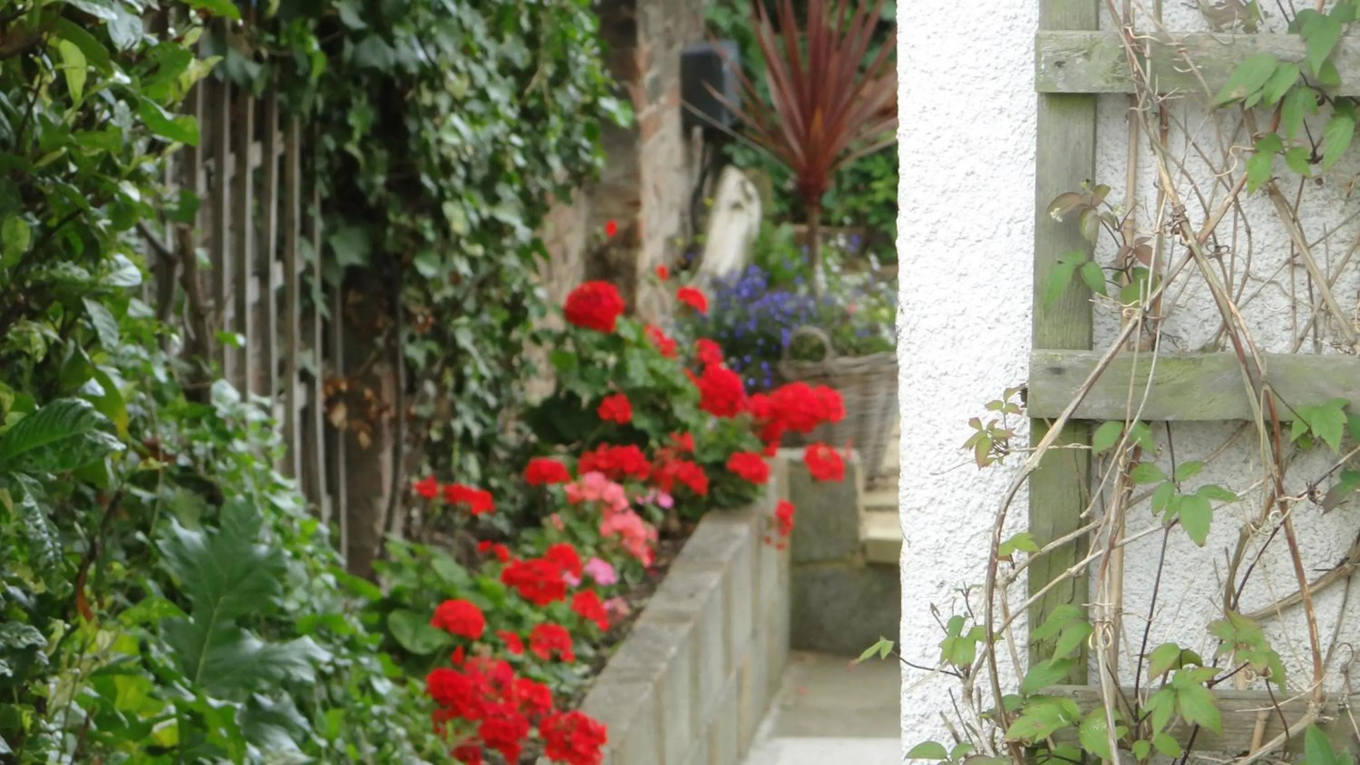 Day in Jessamine House Hotel