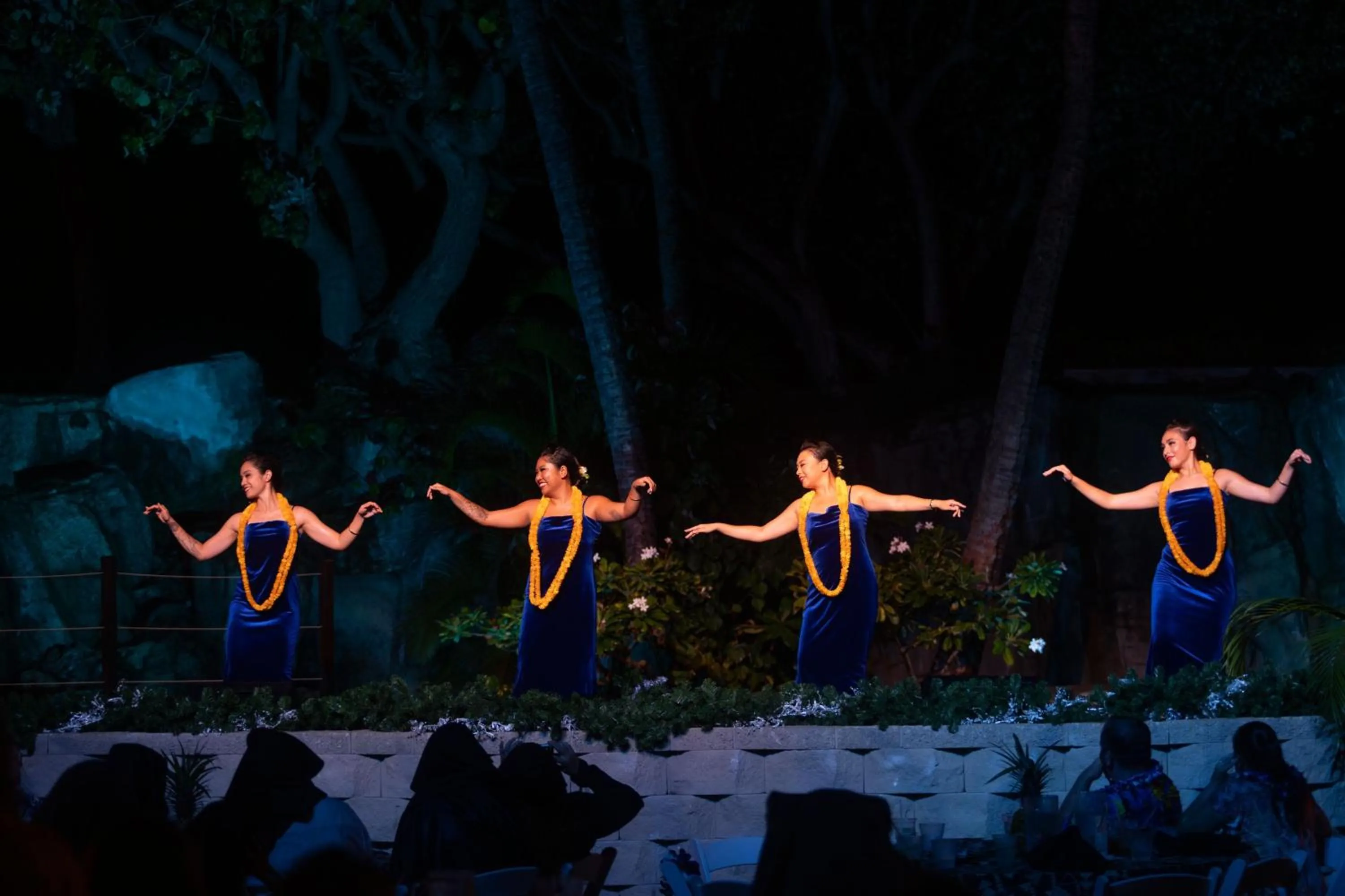 Other in The Westin Maui Resort & Spa, Ka'anapali