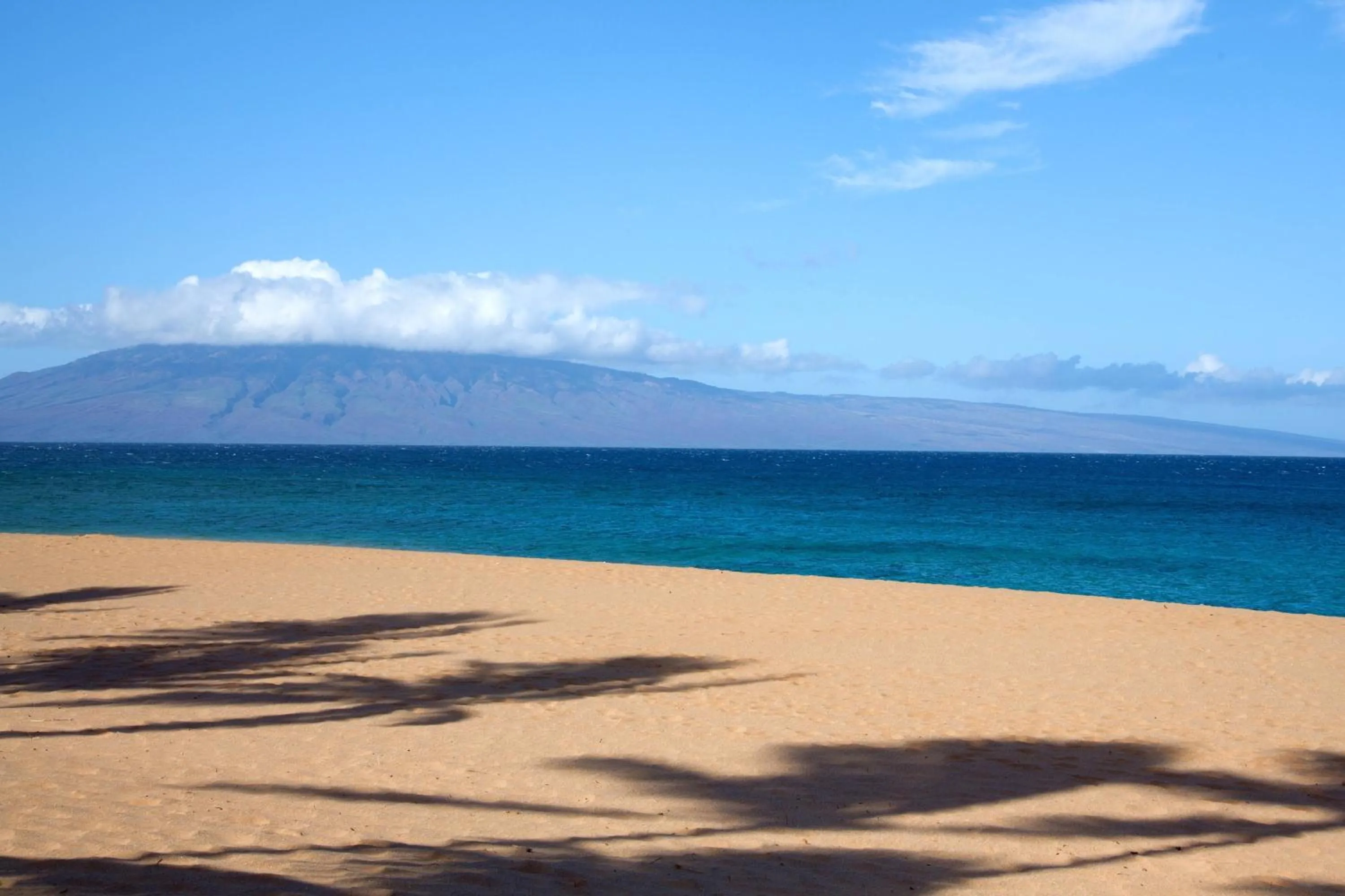 Beach in The Westin Maui Resort & Spa, Ka'anapali