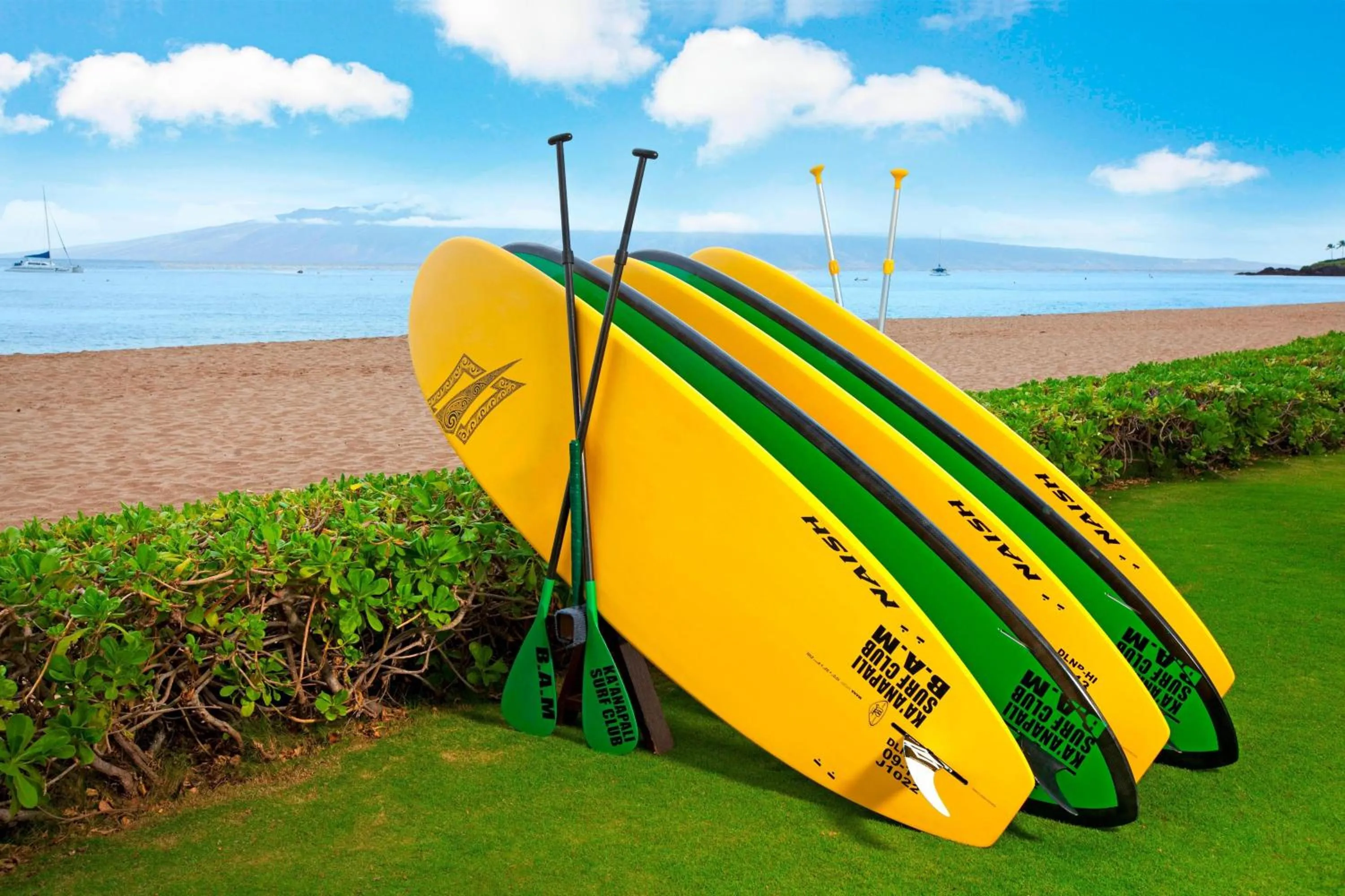 Beach in The Westin Maui Resort & Spa, Ka'anapali