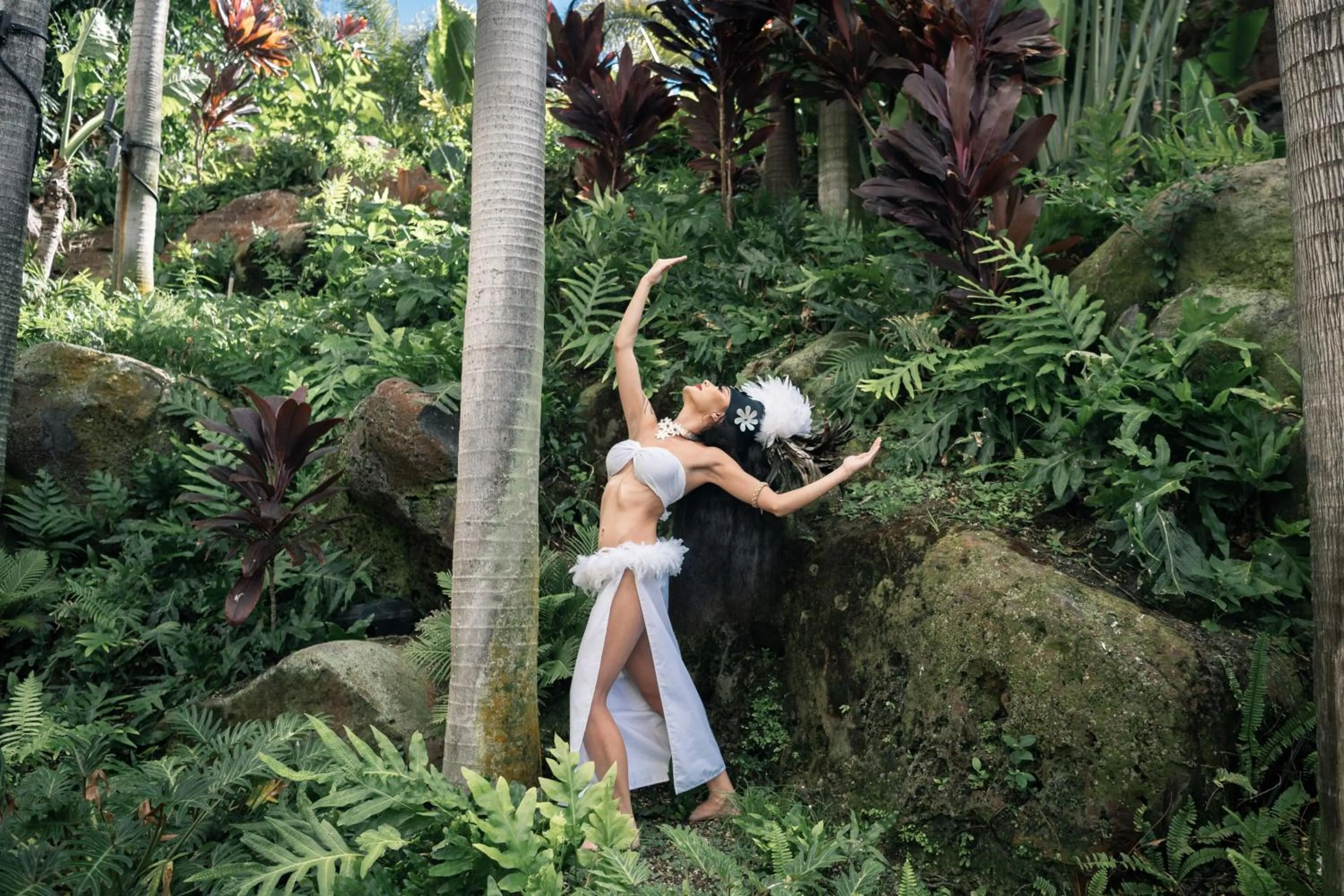 Other in The Westin Maui Resort & Spa, Ka'anapali