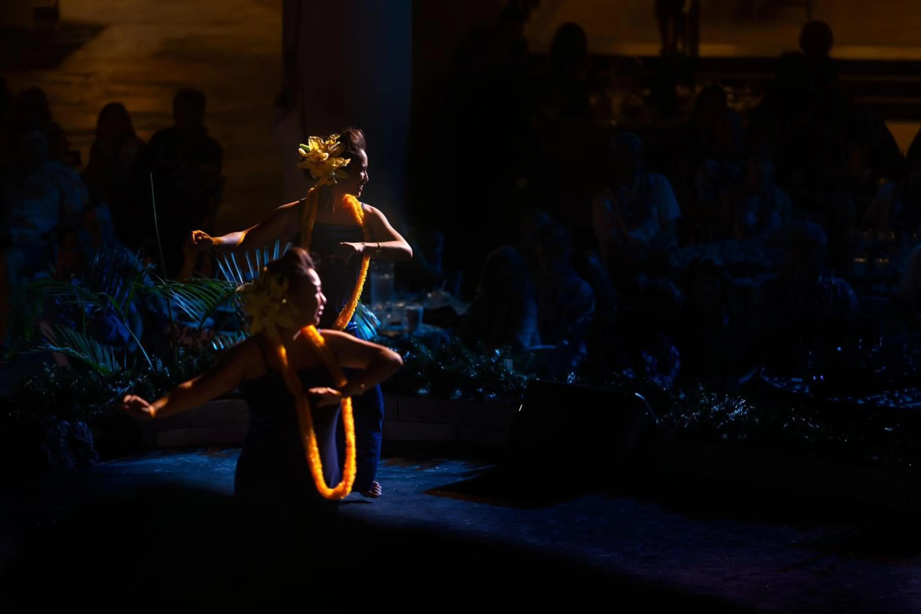 Other in The Westin Maui Resort & Spa, Ka'anapali