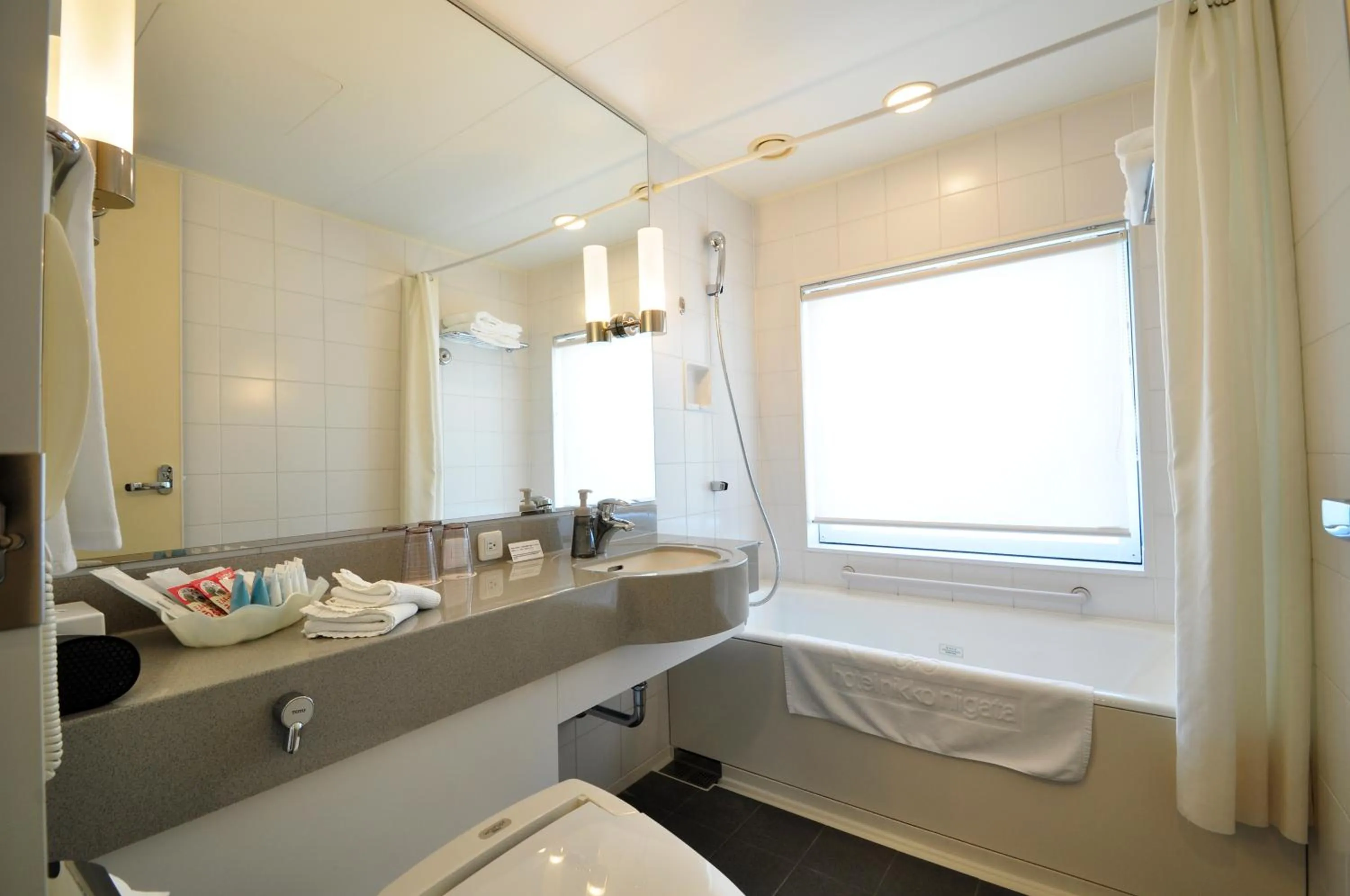 Bathroom in Hotel Nikko Niigata