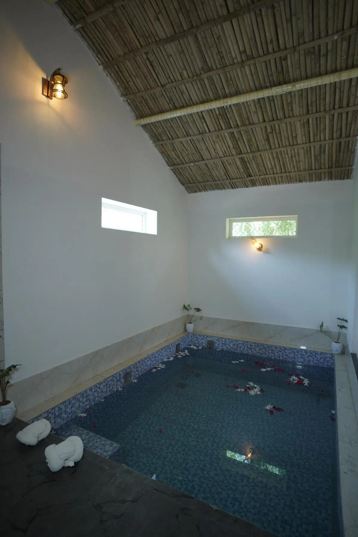 Pool view in Amar Bagh Resort