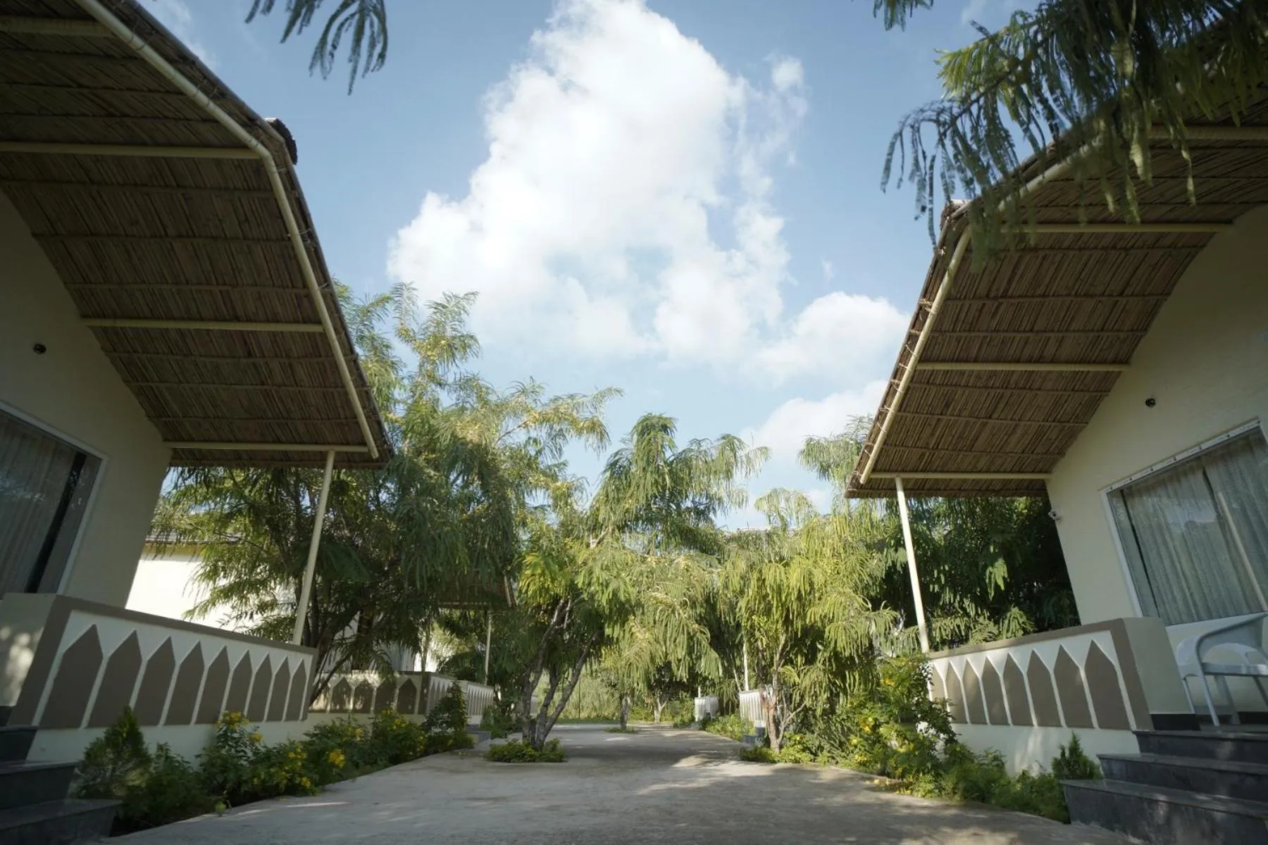 Garden view in Amar Bagh Resort