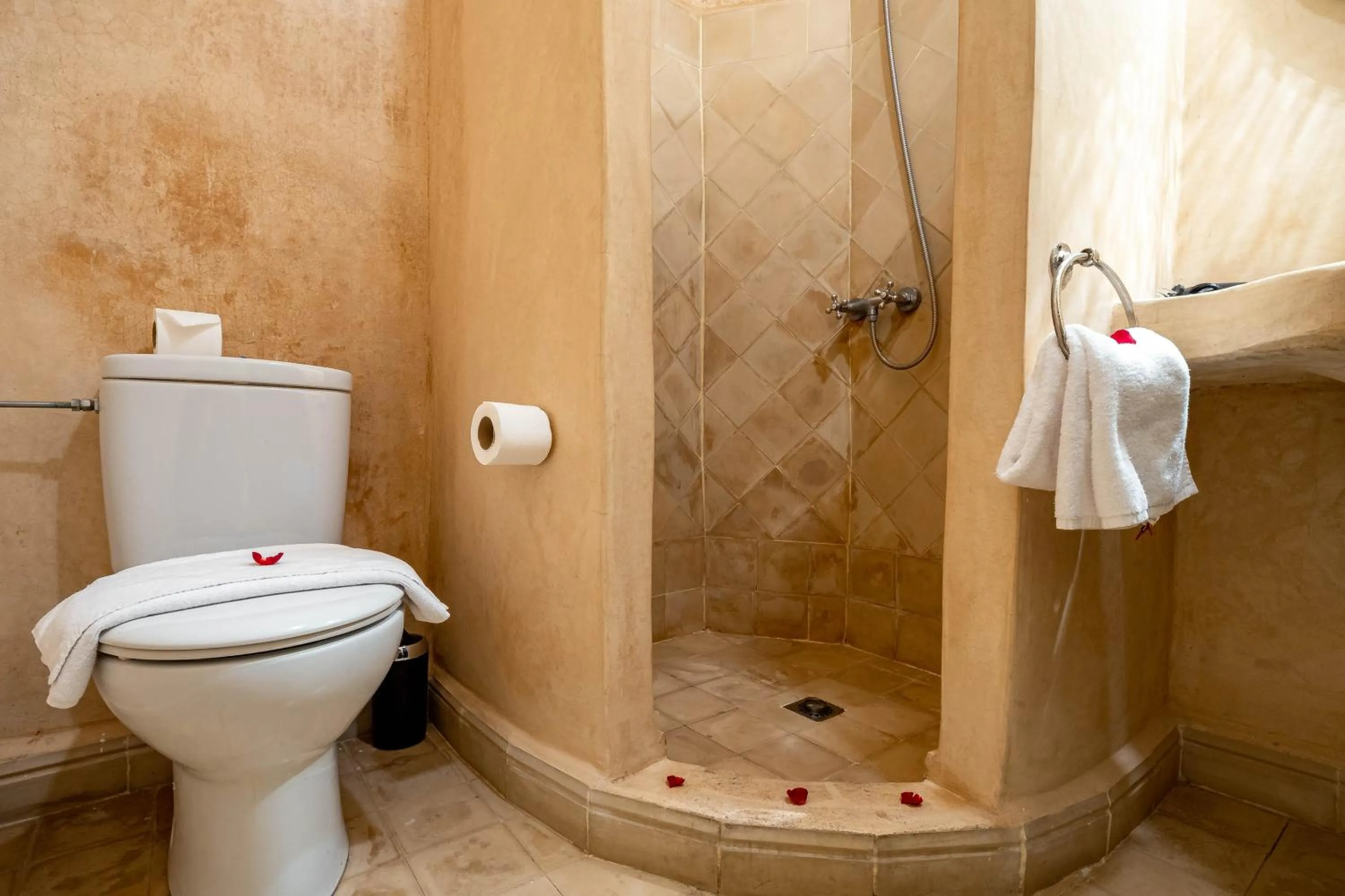 Shower in RIAD LA GAZELLE DU SUD