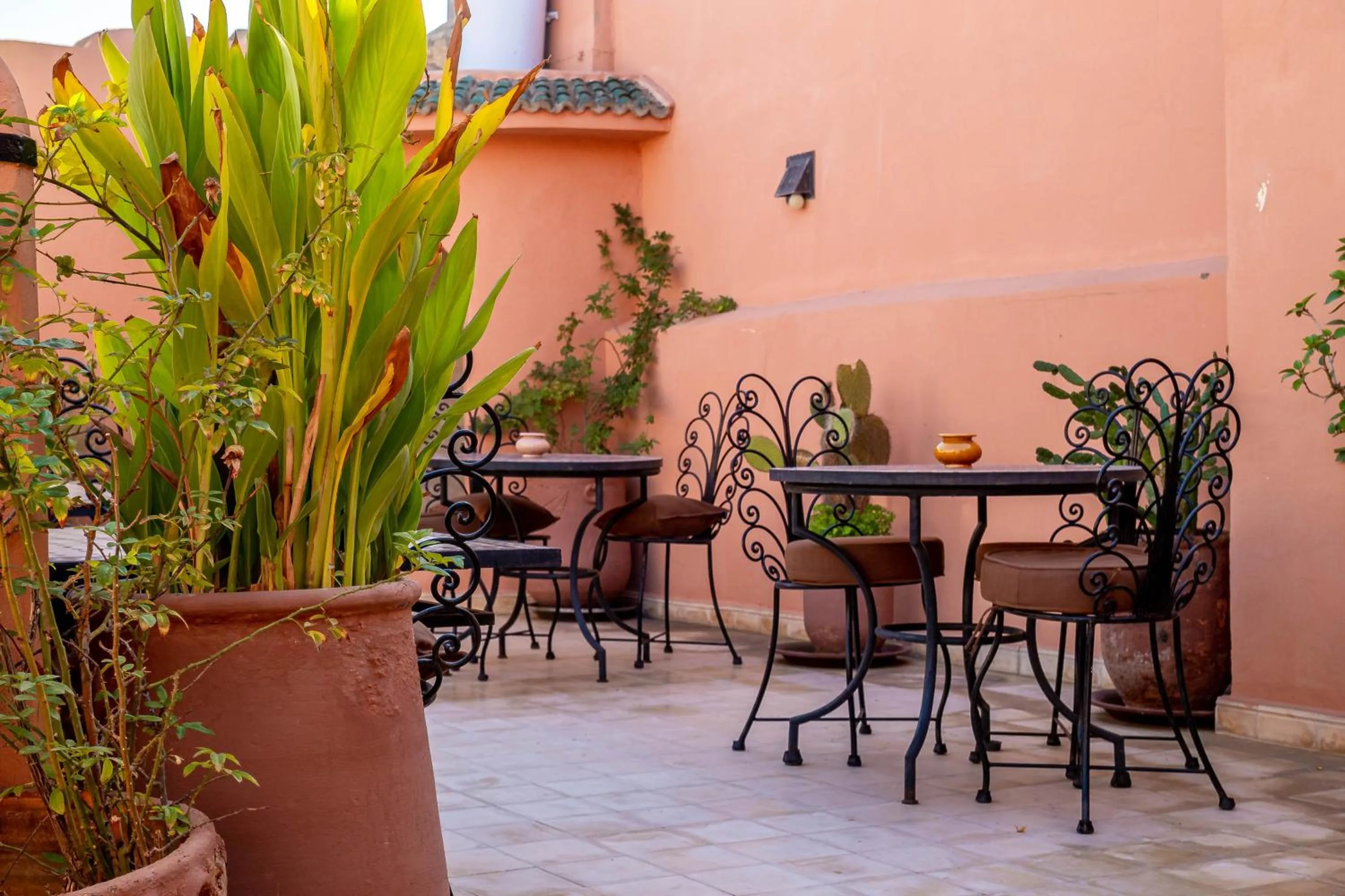 Patio in RIAD LA GAZELLE DU SUD