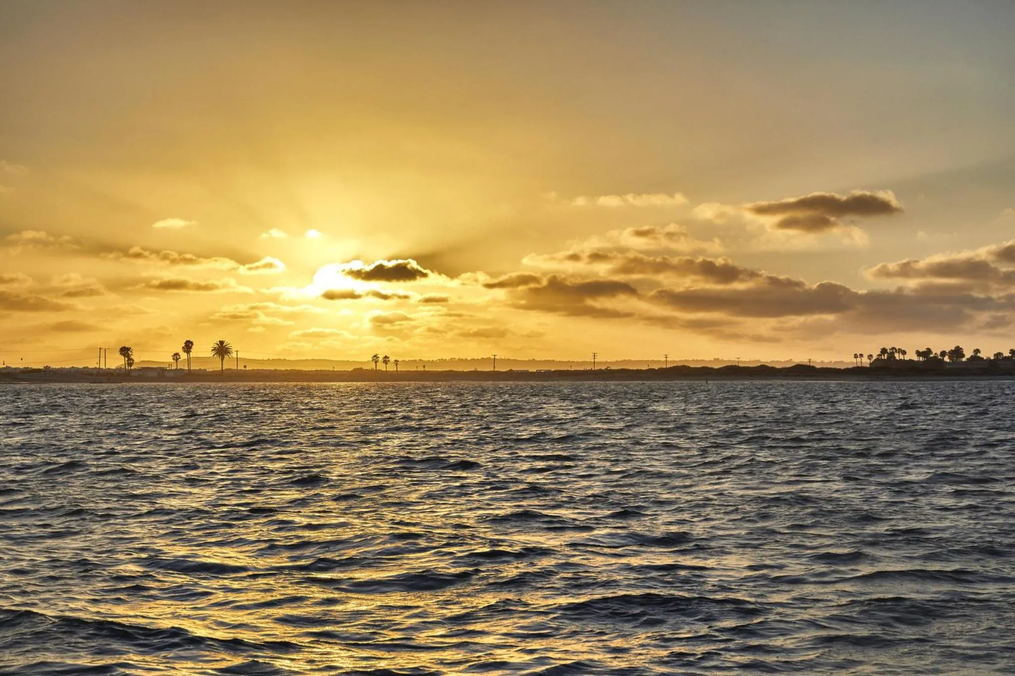 View (from property/room) in Loews Coronado Bay Resort