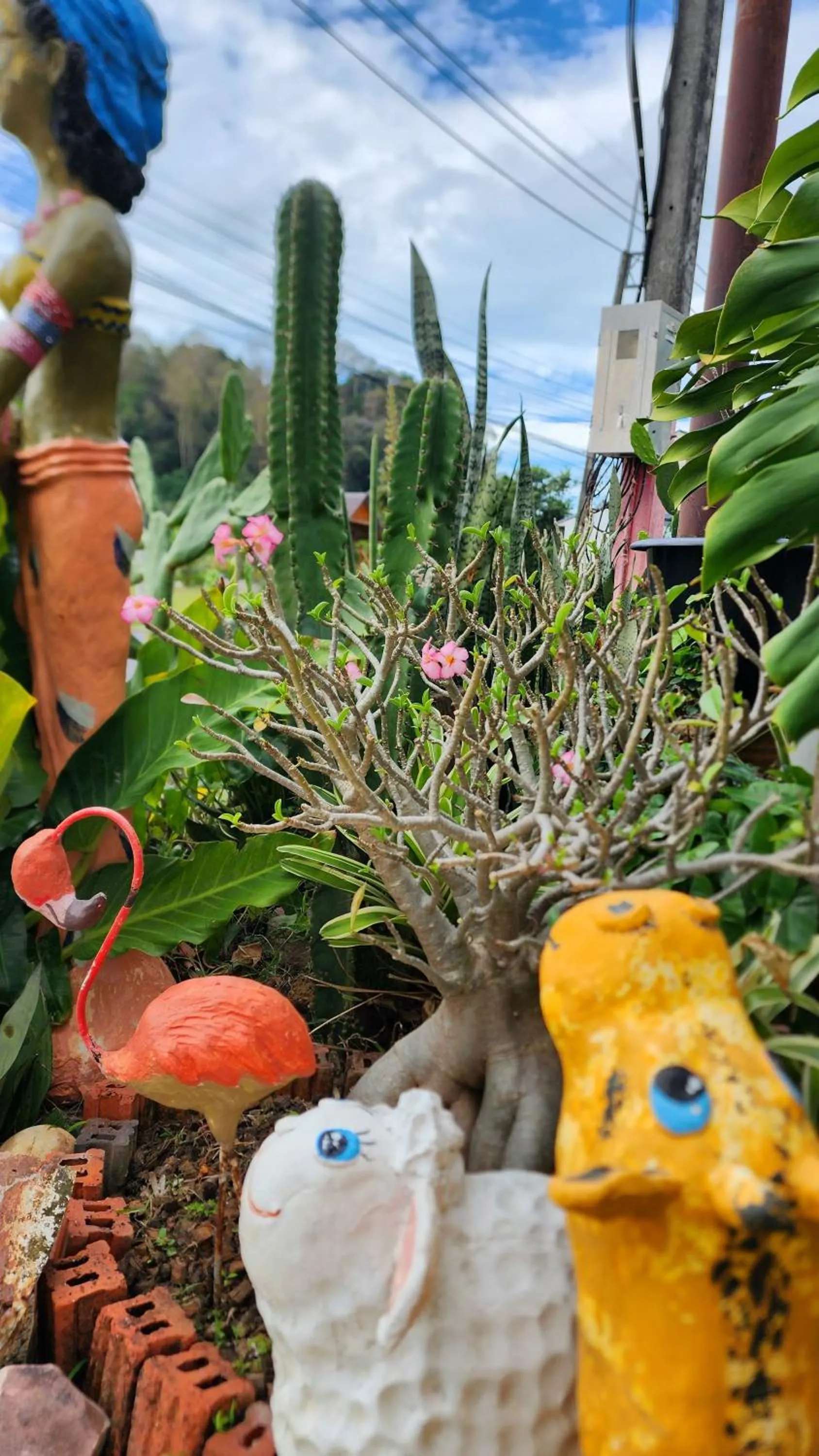 Day in Ingpha Room For Rent