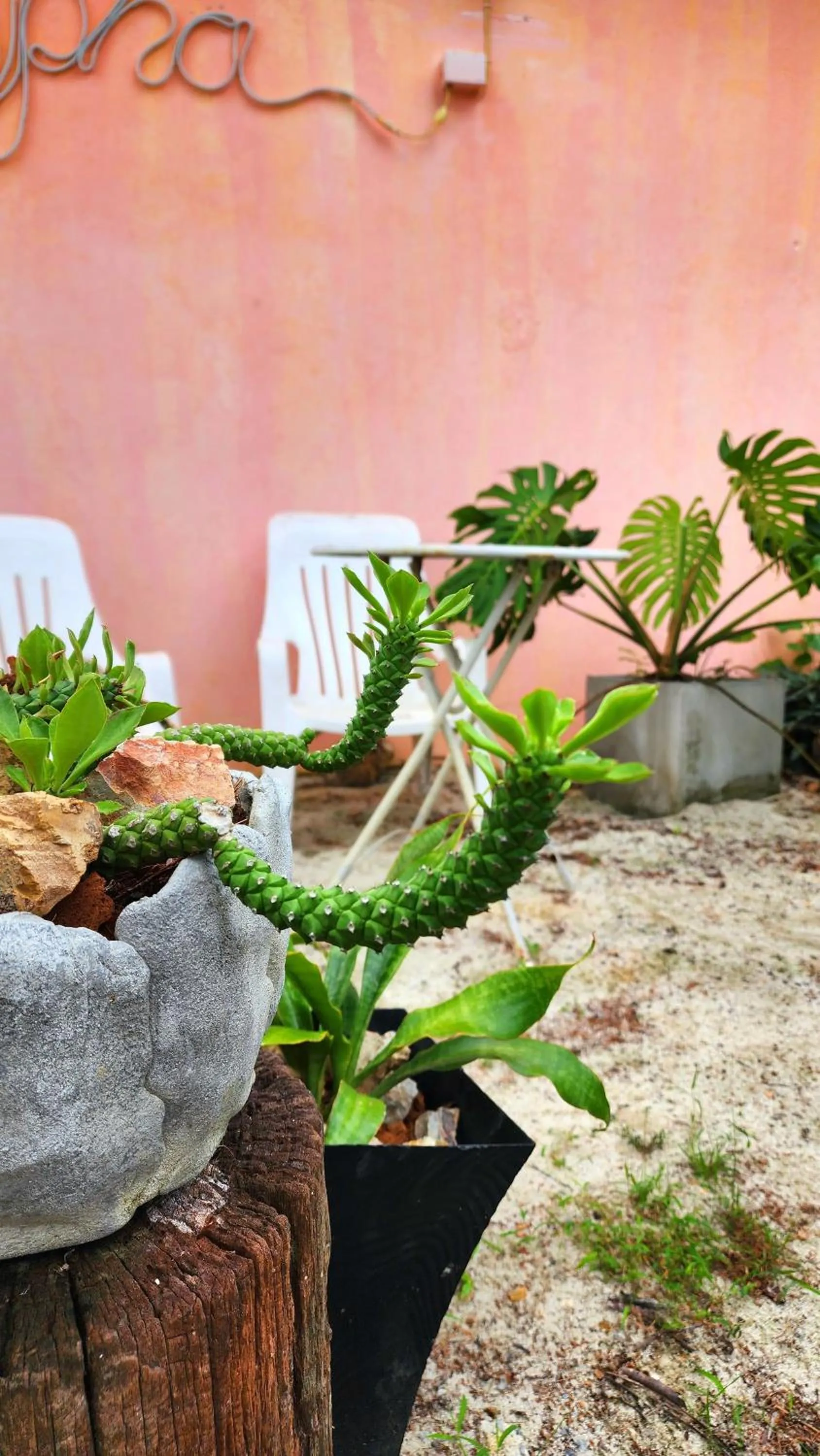 Day in Ingpha Room For Rent