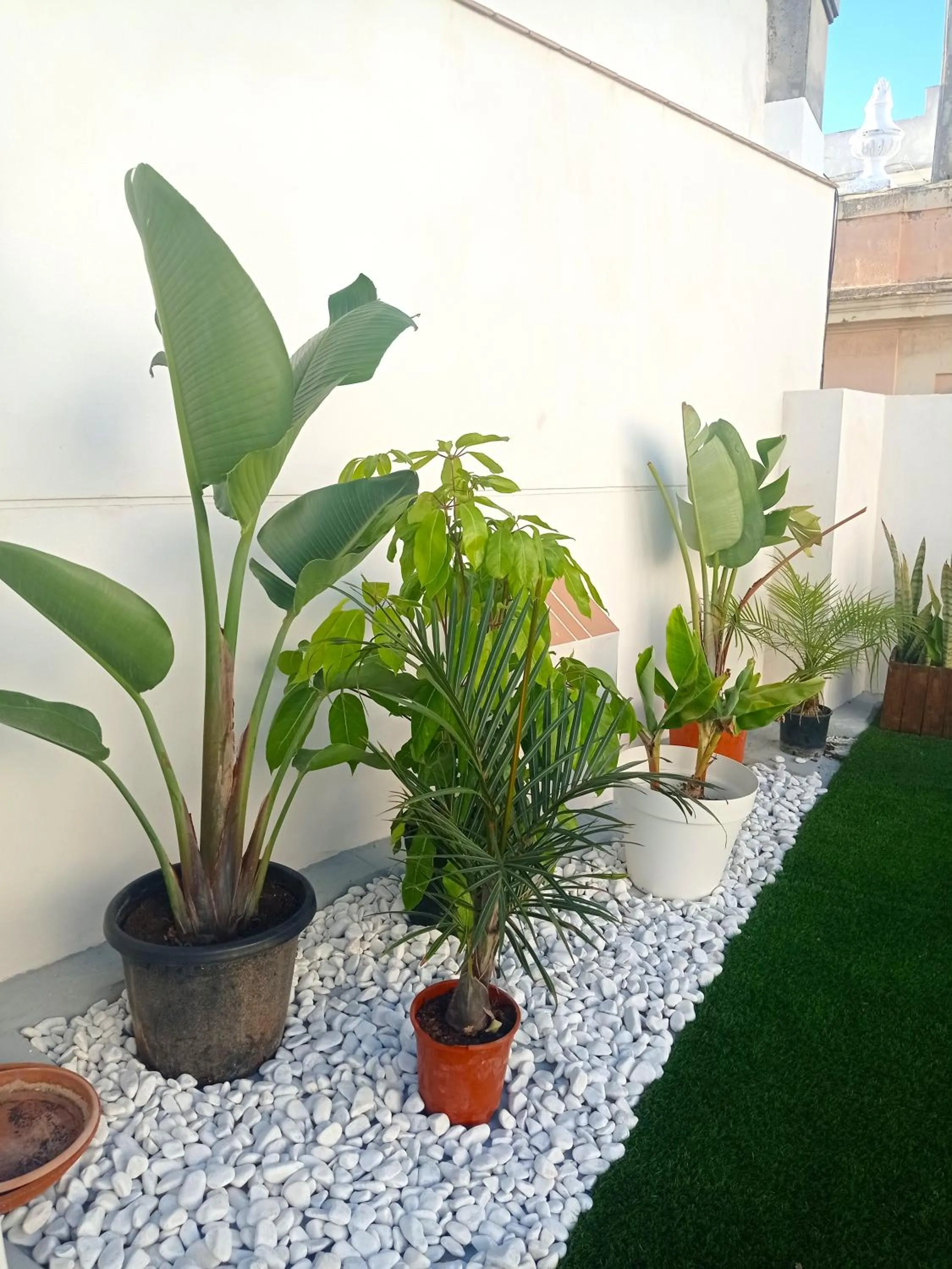 Balcony/Terrace in Planeta Cadiz Hostel