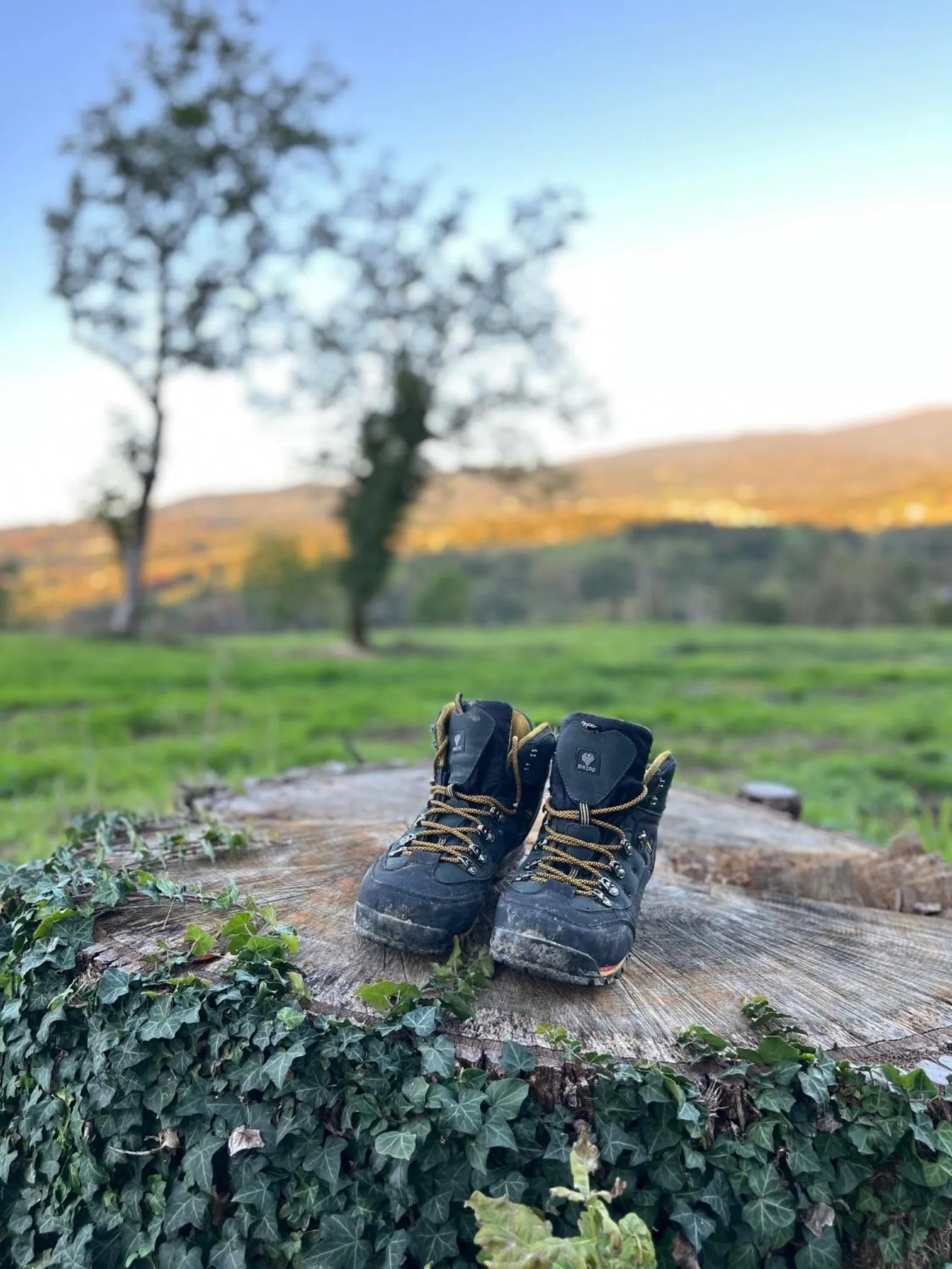 Spring in La Maison du Chevalier - Chambres et tables d'hôtes - adults only