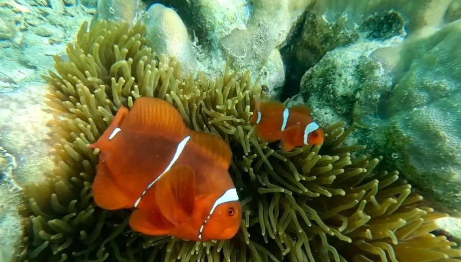 Natural landscape in Alibaba Bungalows