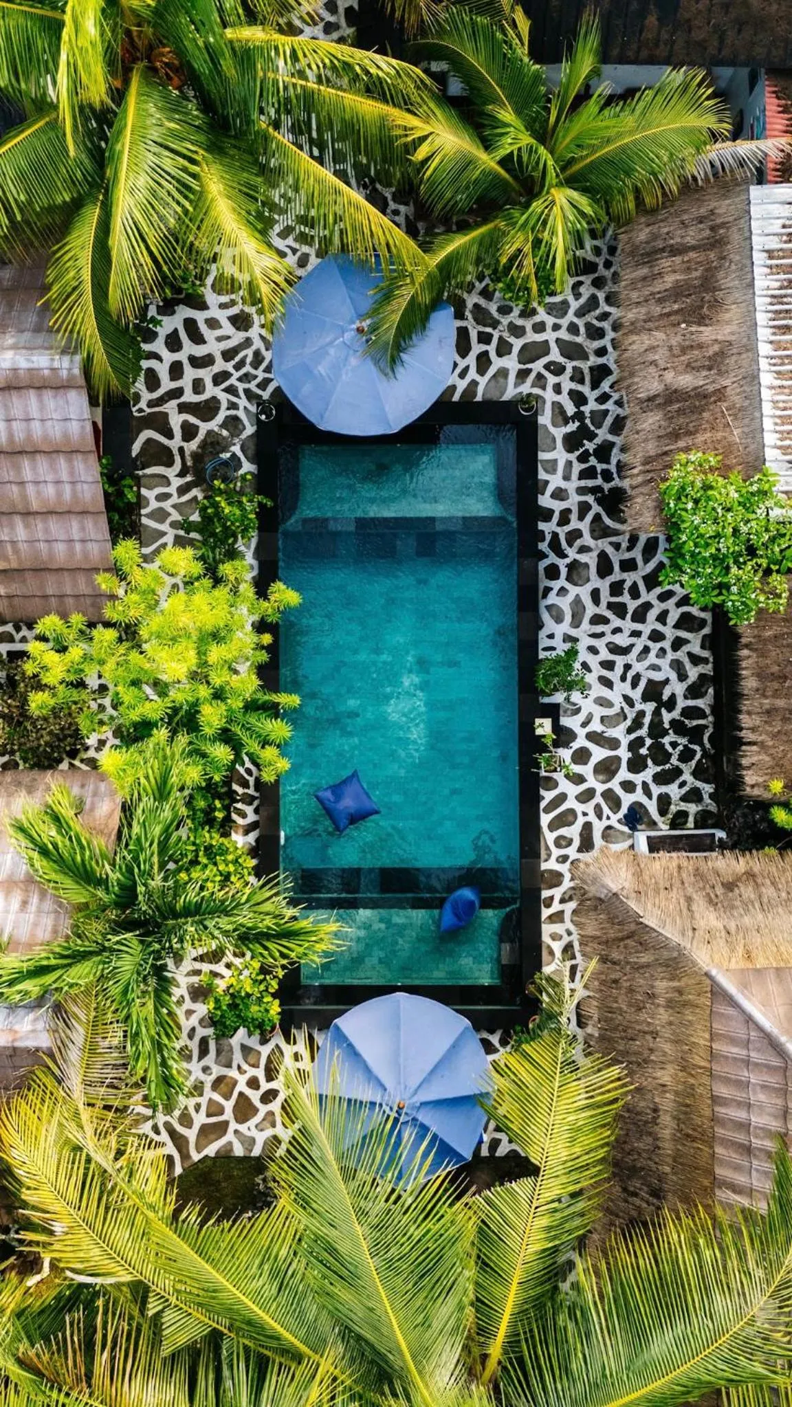 Swimming pool in Alibaba Bungalows