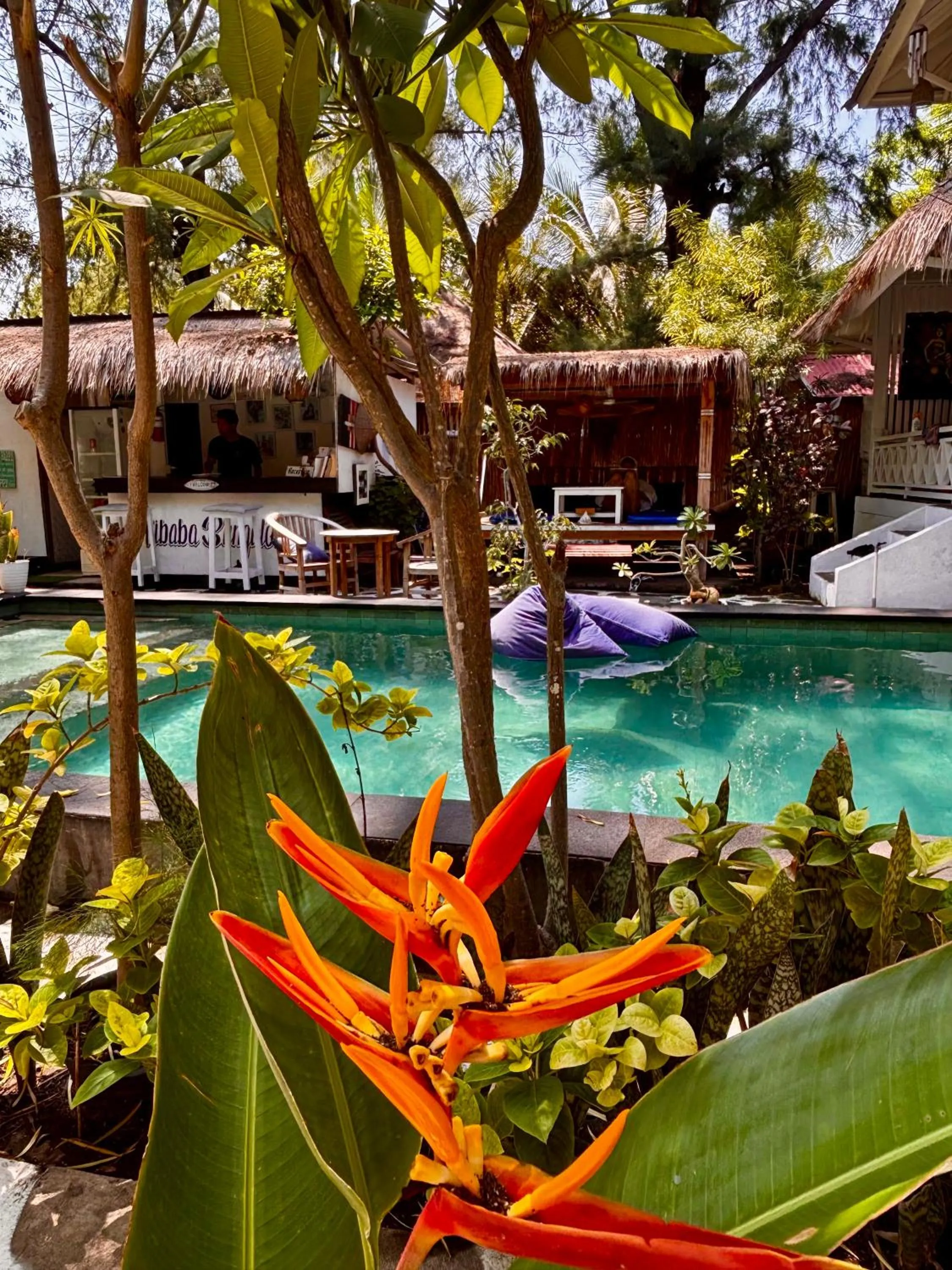 Swimming pool in Alibaba Bungalows