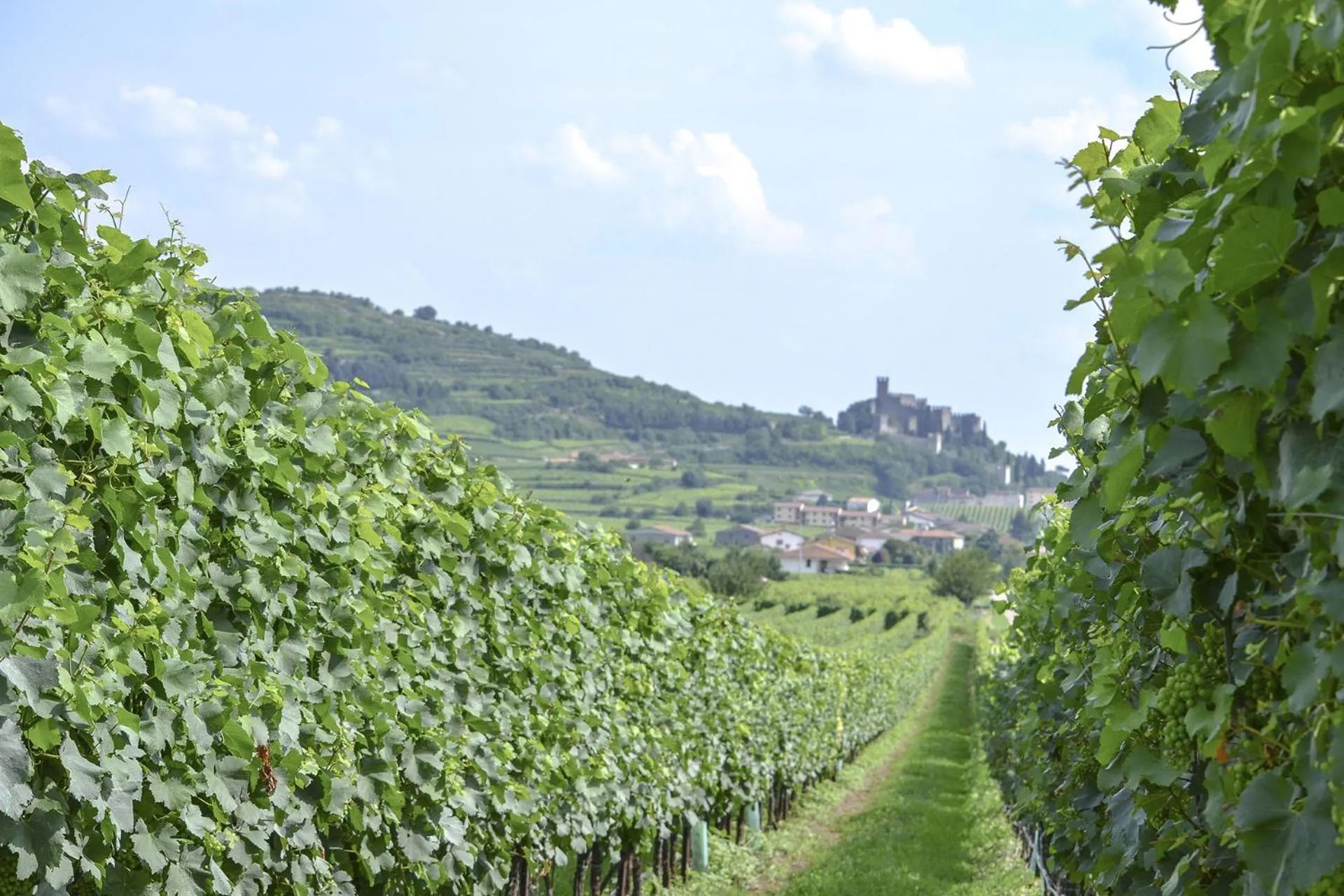 Natural landscape in B&B Antique Maison
