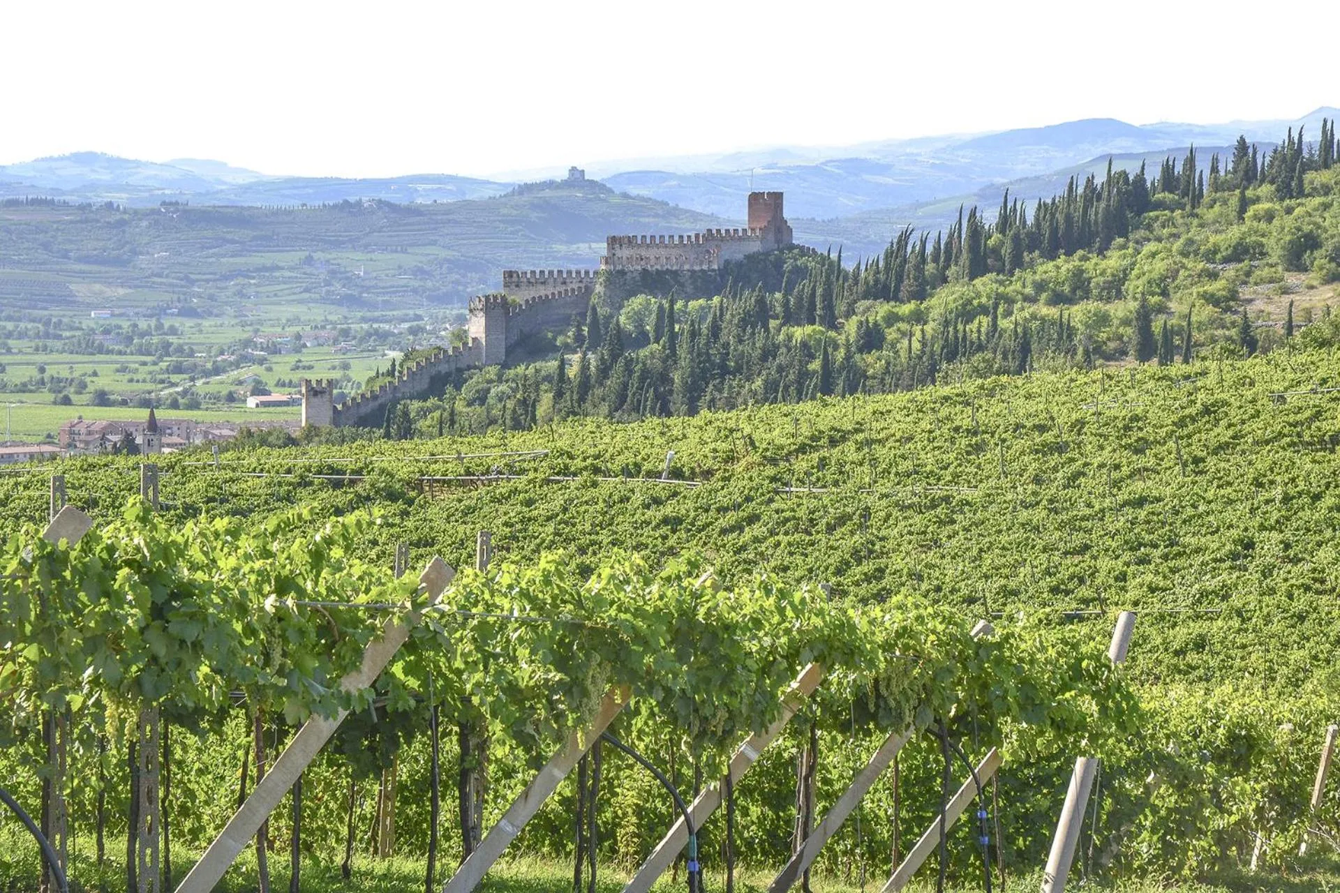 Nearby landmark in B&B Antique Maison