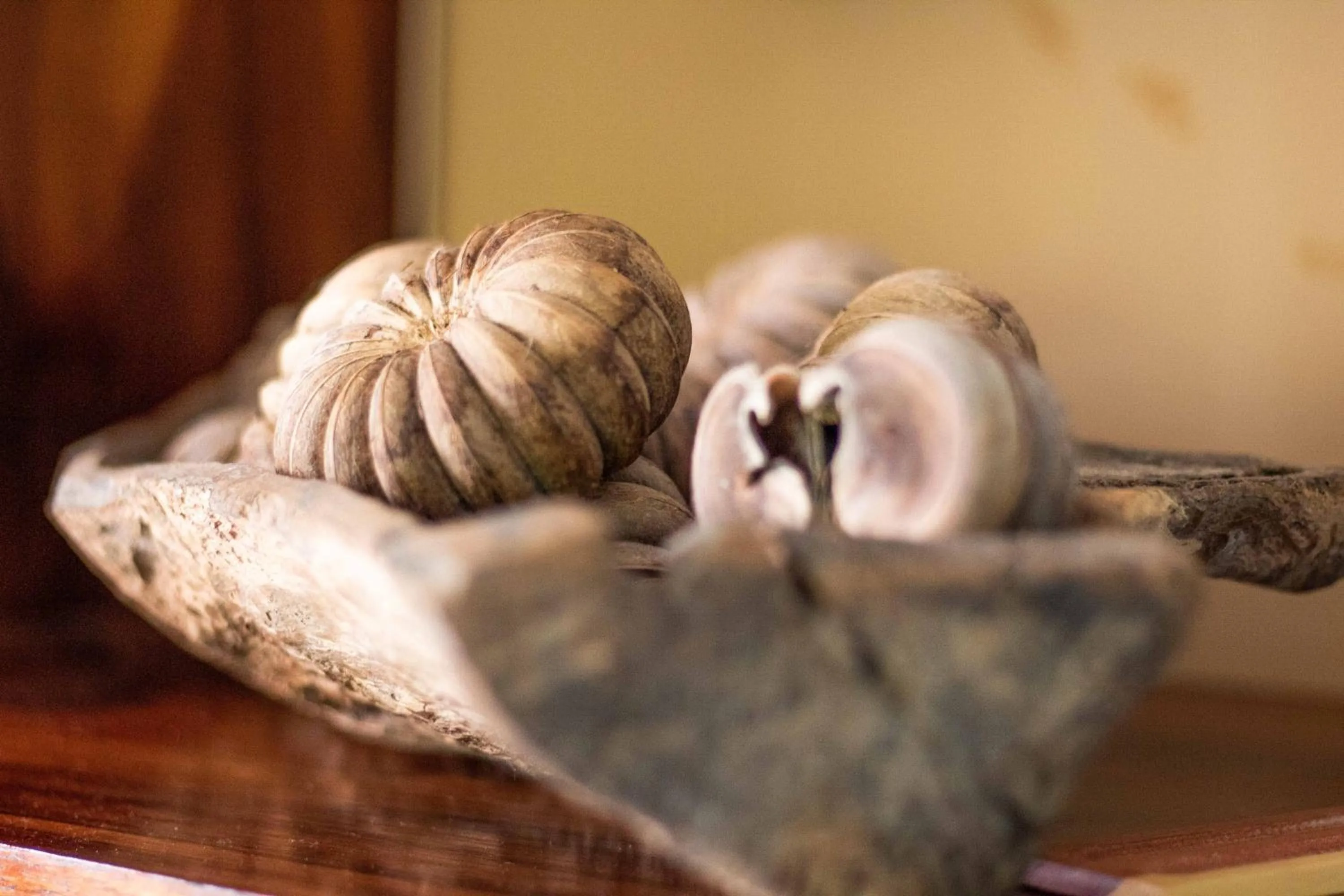 Amaca Beach Retreat - Puerto Vallarta South Shore