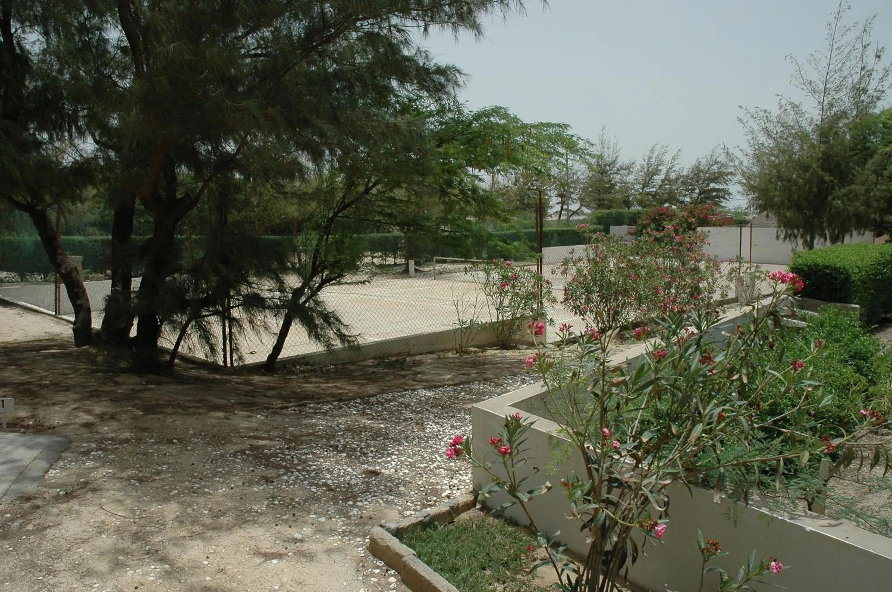 Garden in Diamarek Hotel Sur La Plage