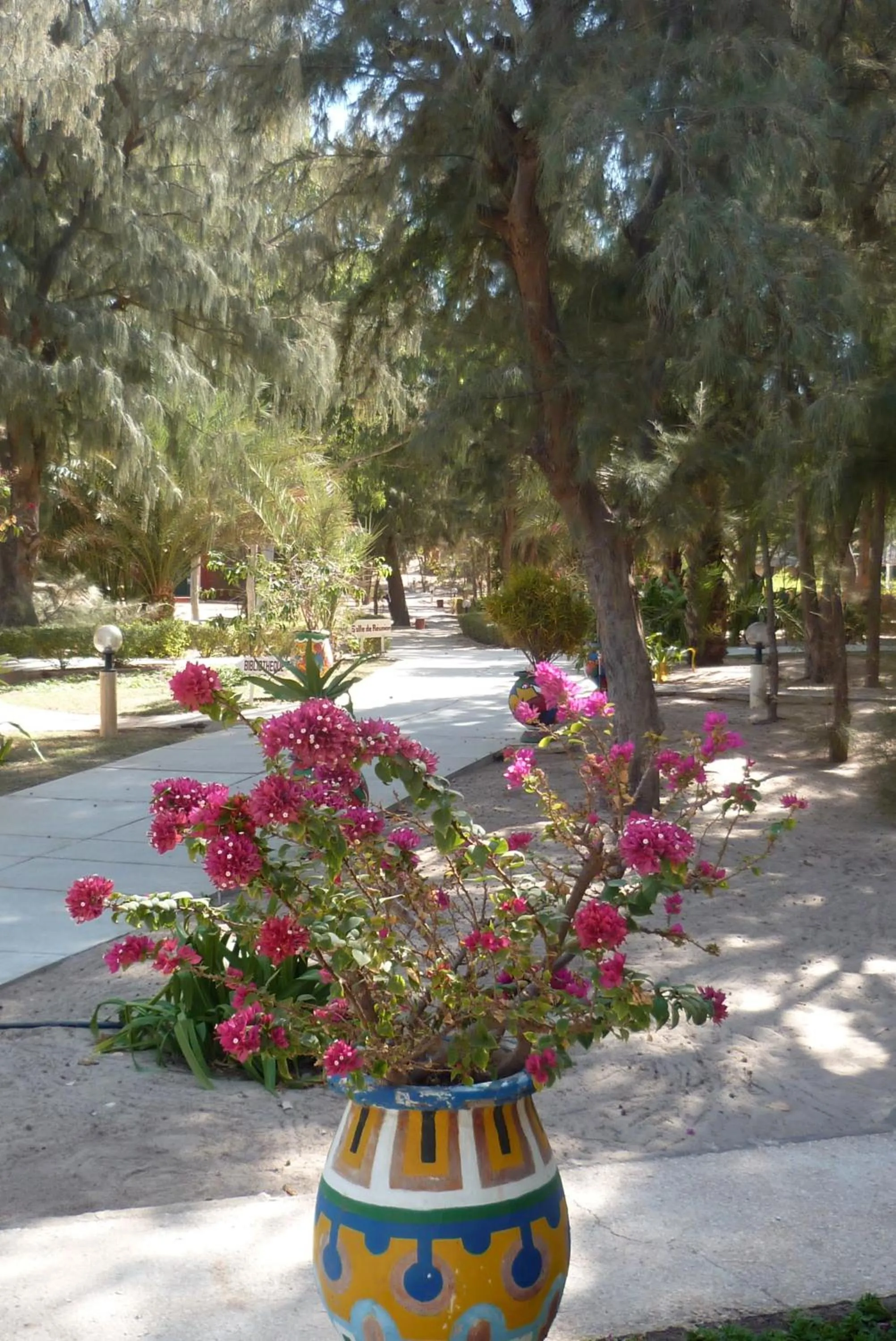 Garden in Diamarek Hotel Sur La Plage