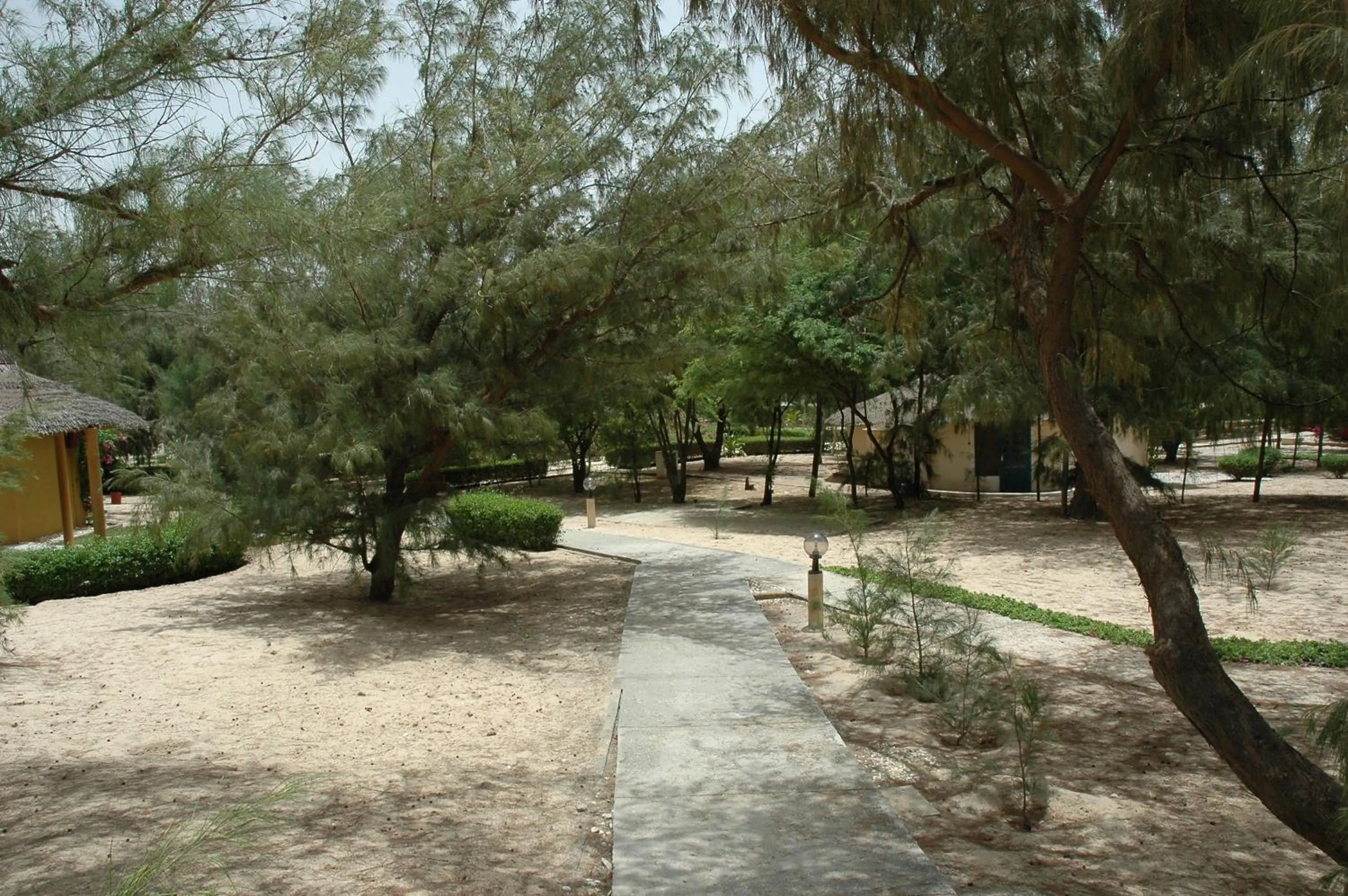 Area and facilities in Diamarek Hotel Sur La Plage