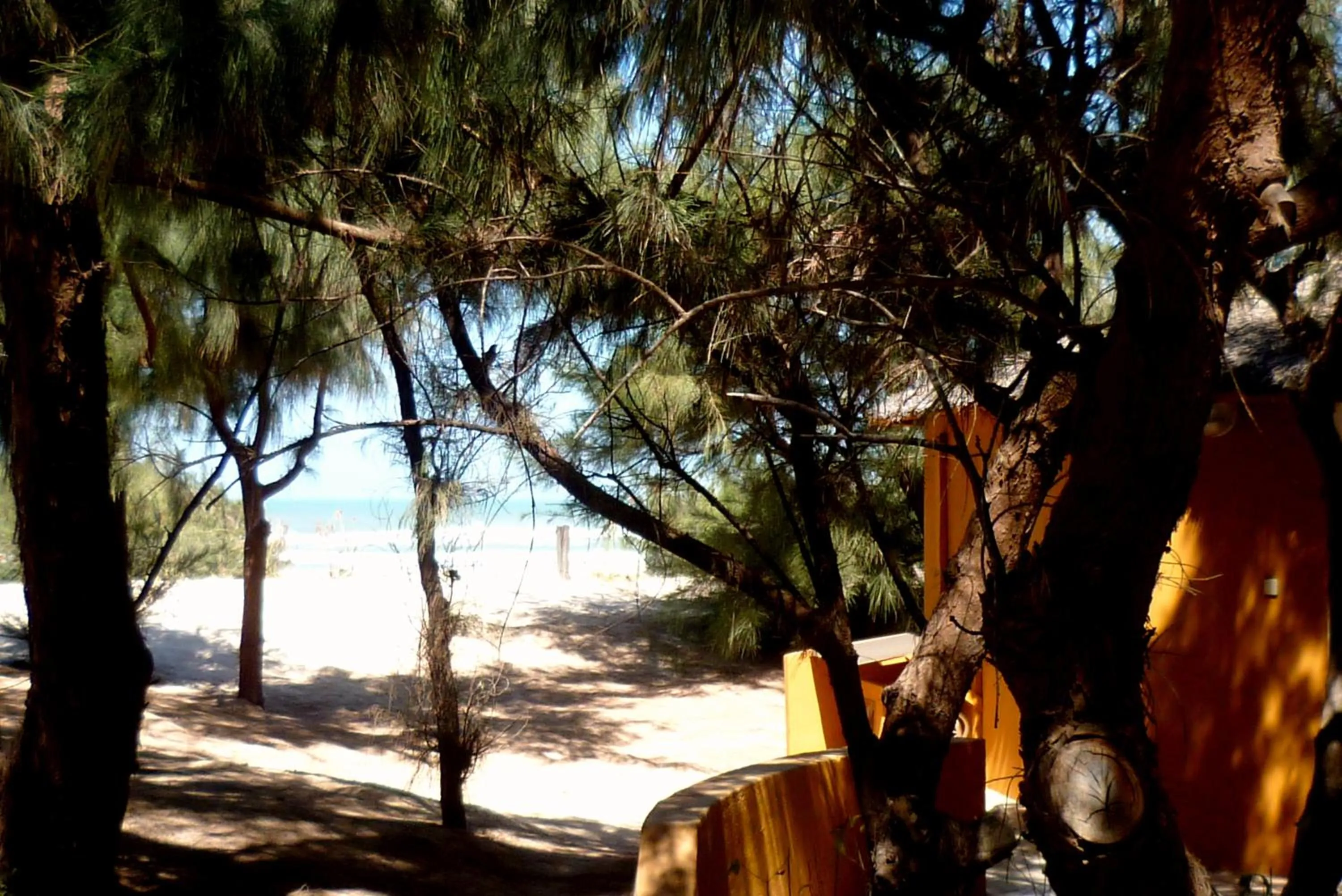 Balcony/Terrace in Diamarek Hotel Sur La Plage