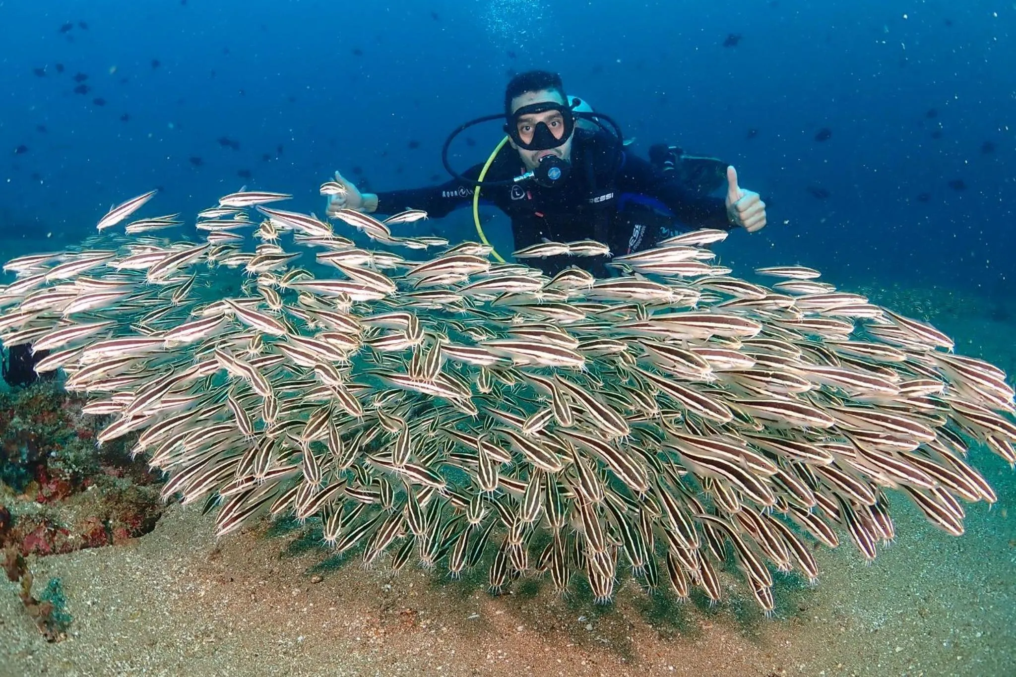 Isla Water Sports and Resorts Inc