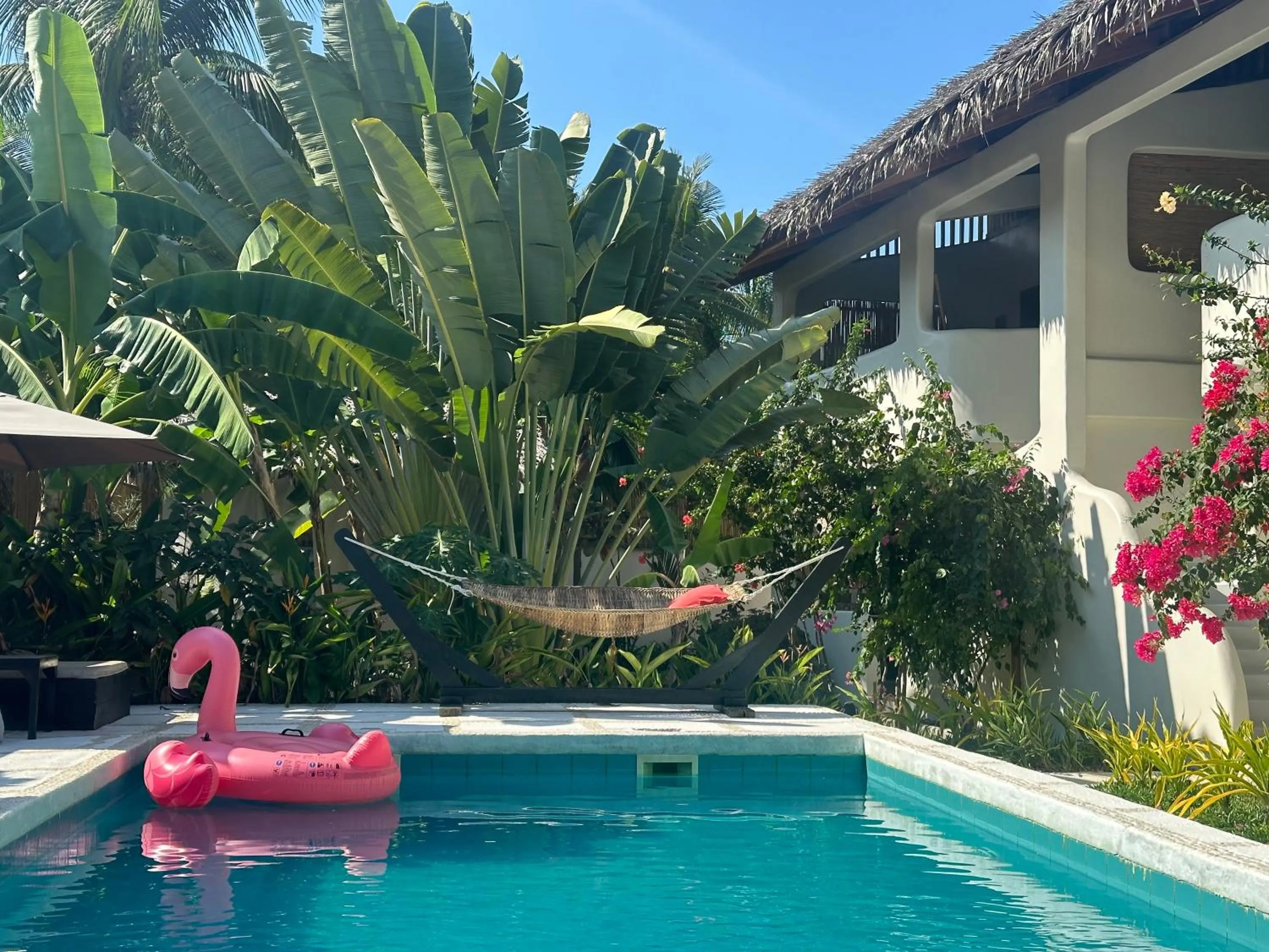 Swimming pool in Parrots Boutique Resort