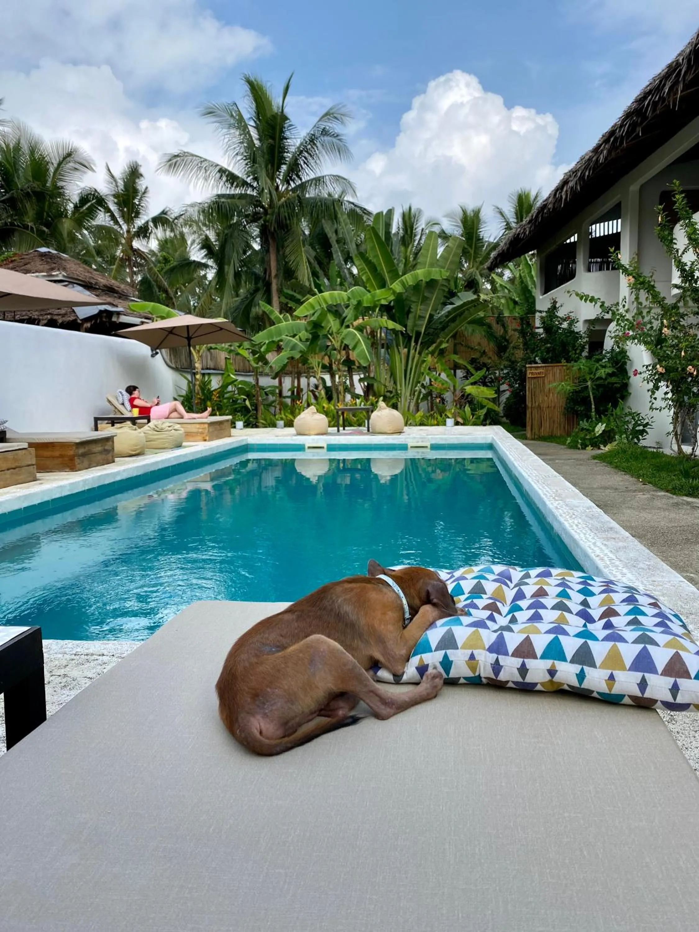 Day in Parrots Boutique Resort