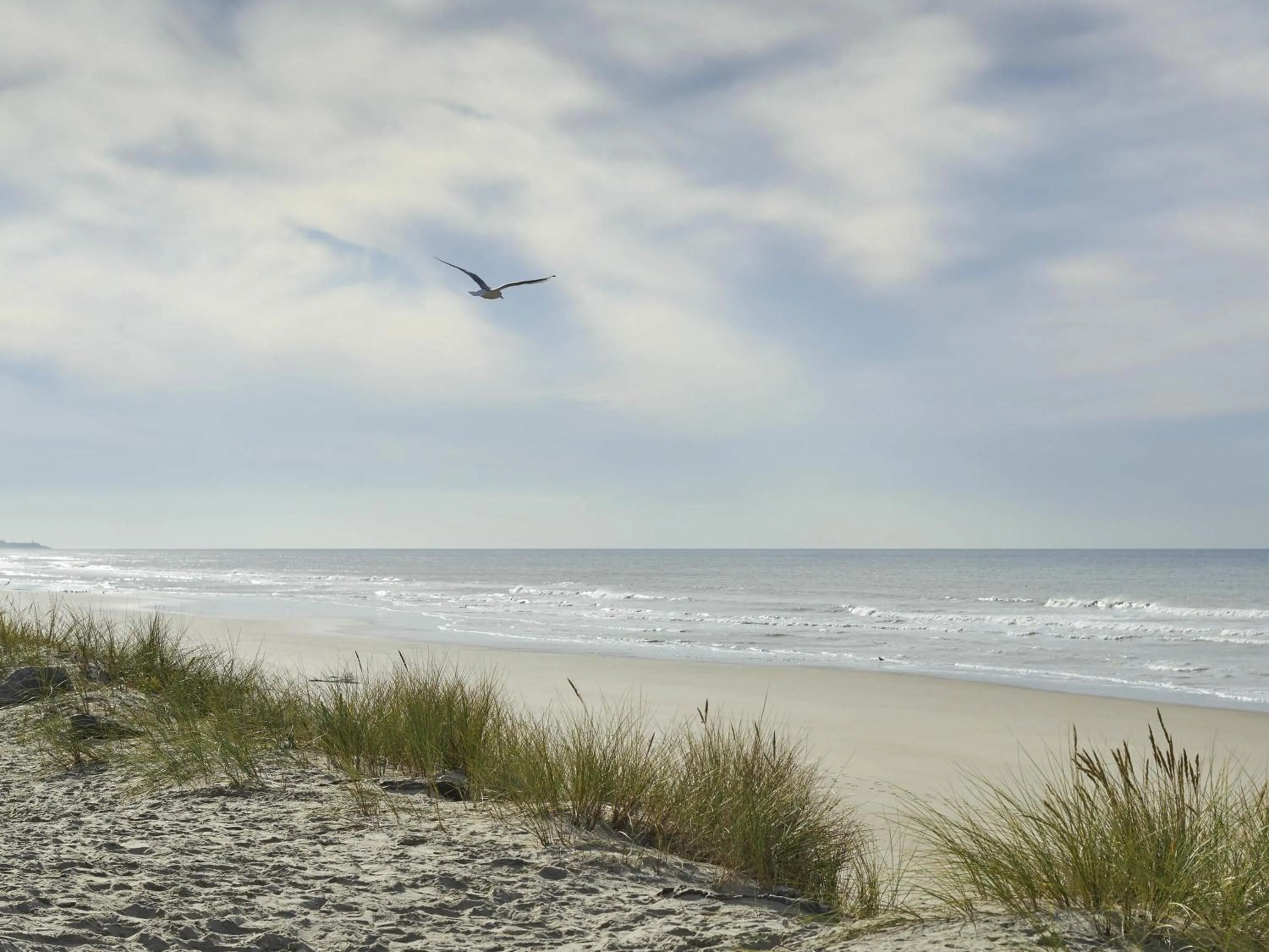 Other in ibis Thalassa Le Touquet