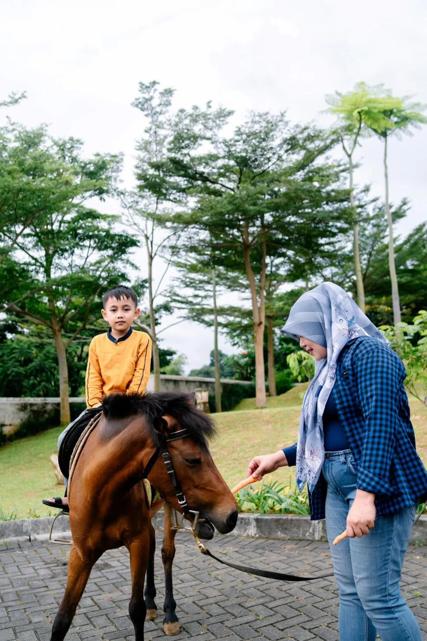 Horse-riding in Beth Kasegaran Theresia