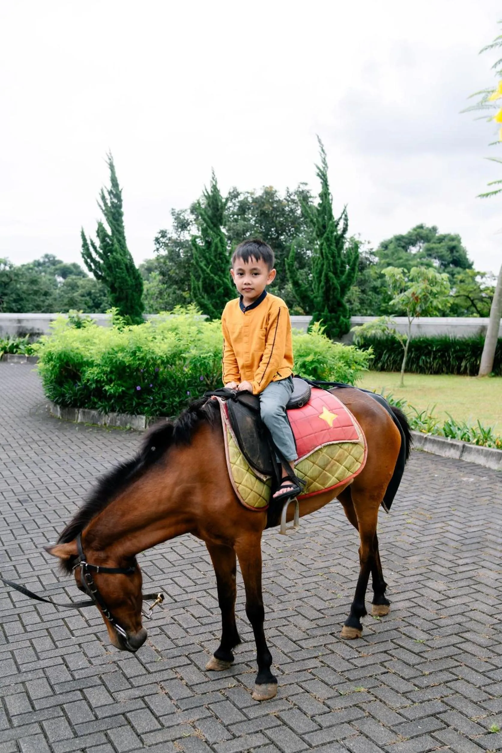 Horse-riding in Beth Kasegaran Theresia