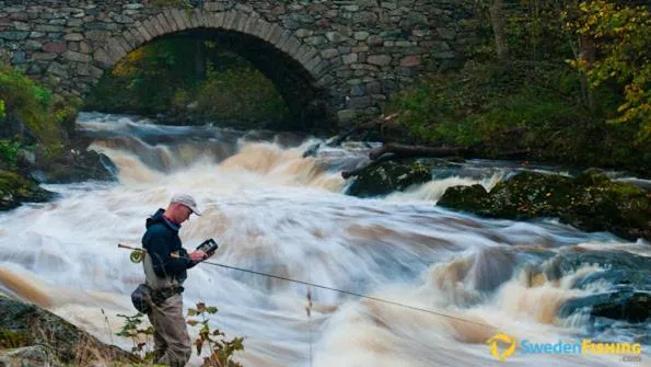 Activities in Torreby Slott Hotel & Golf