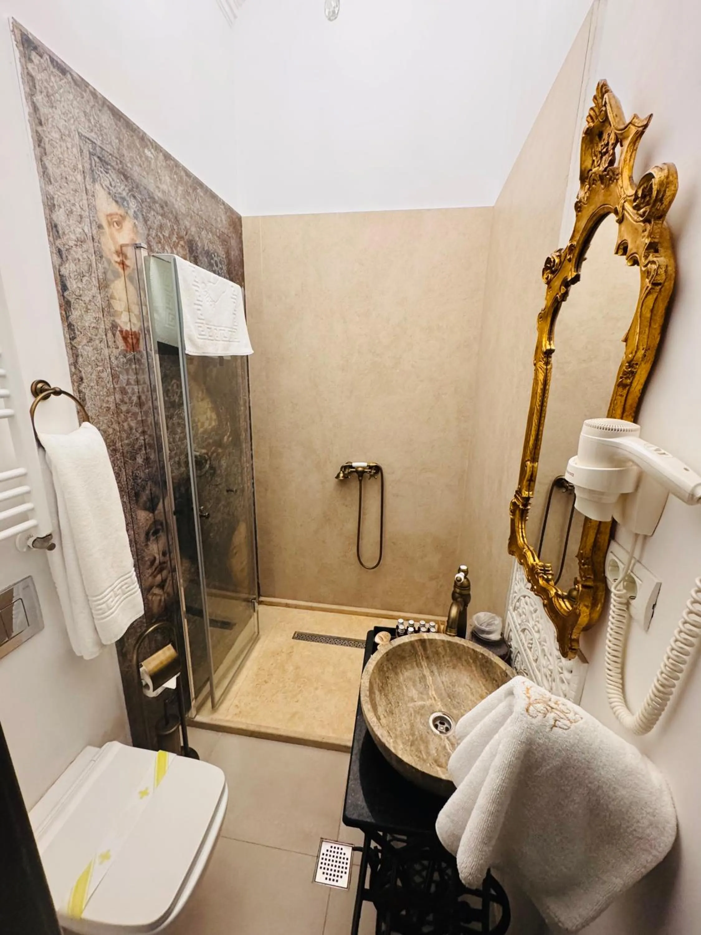 Shower in Conacul Coroanei Luxury Boutique Hotel