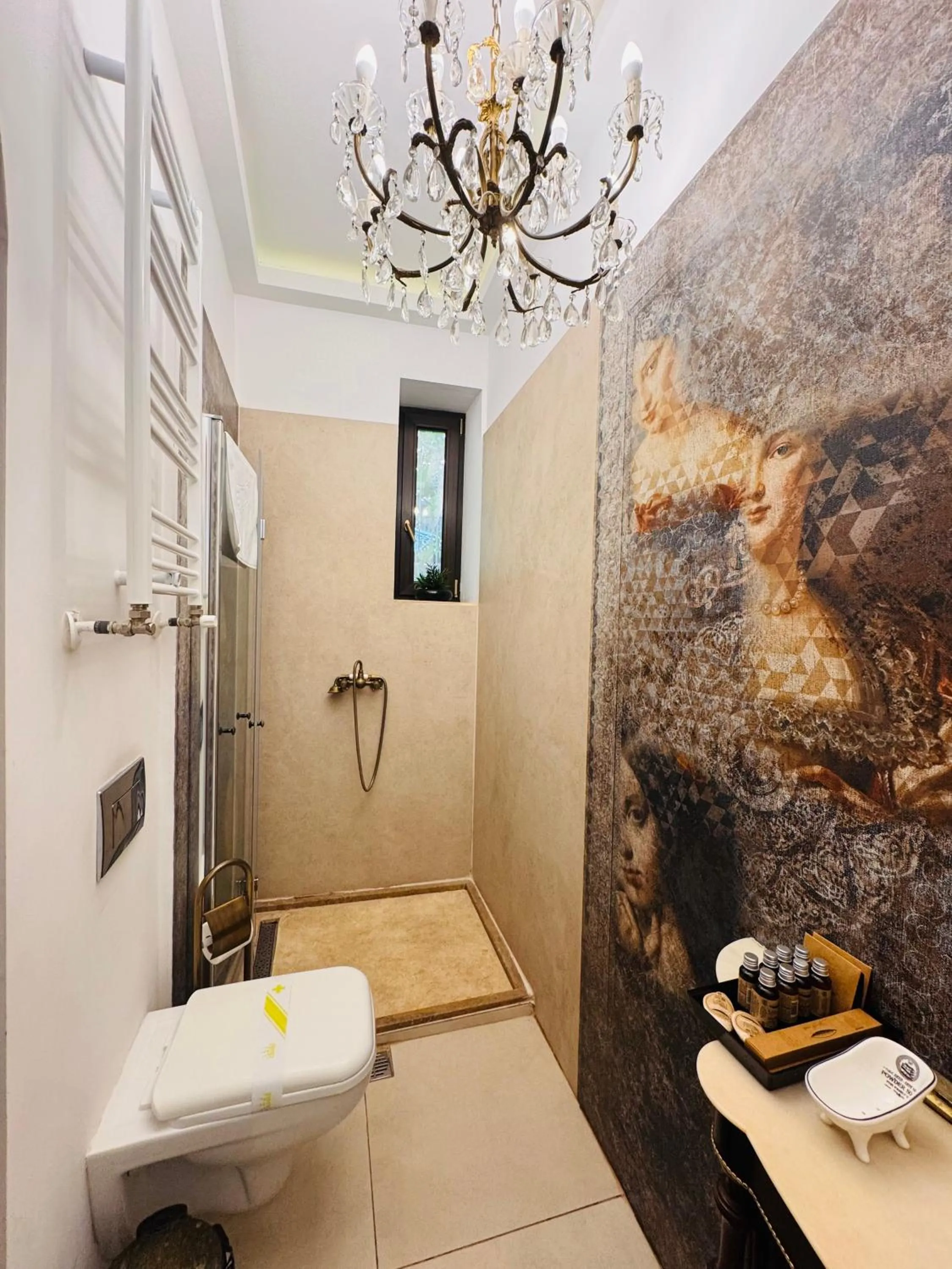 Shower in Conacul Coroanei Luxury Boutique Hotel