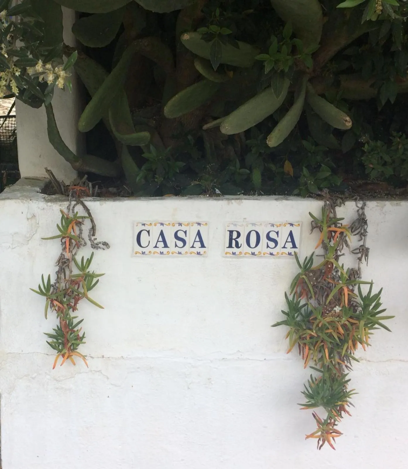 Street view in Casa La Rosa
